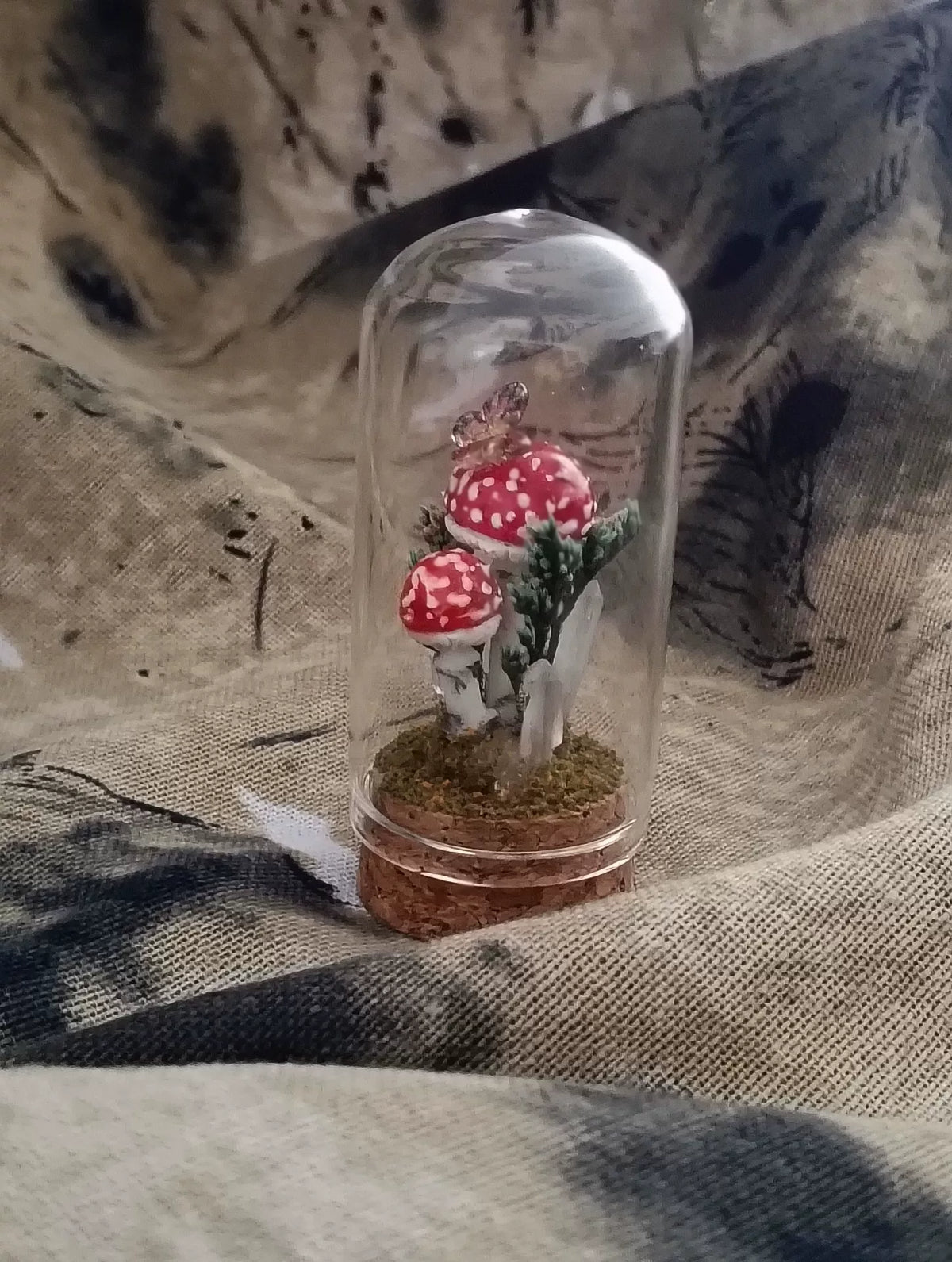 Terrário de Cogumelos Artesanal em Cúpula de Vidro