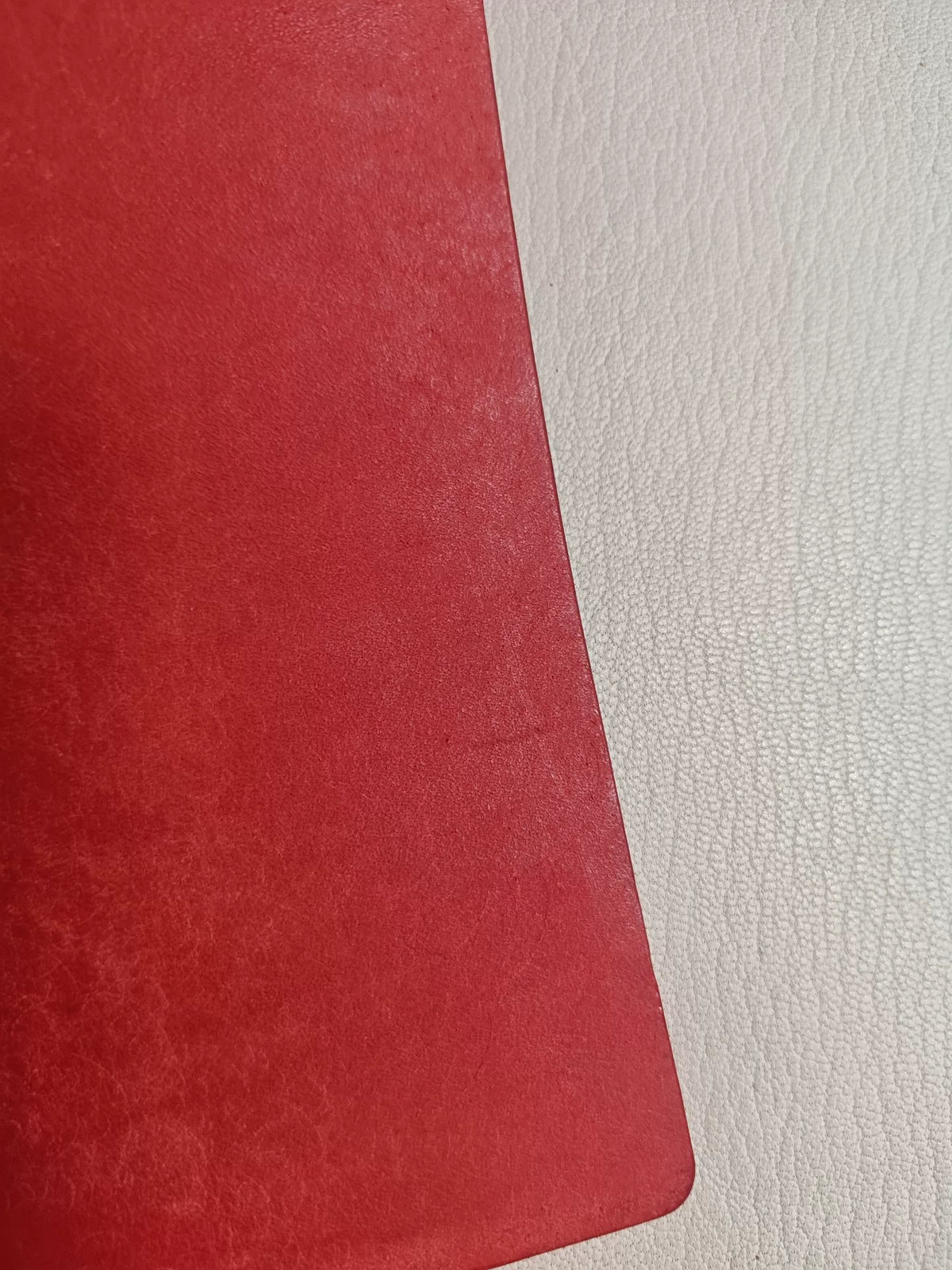1091157910162 - Image 5