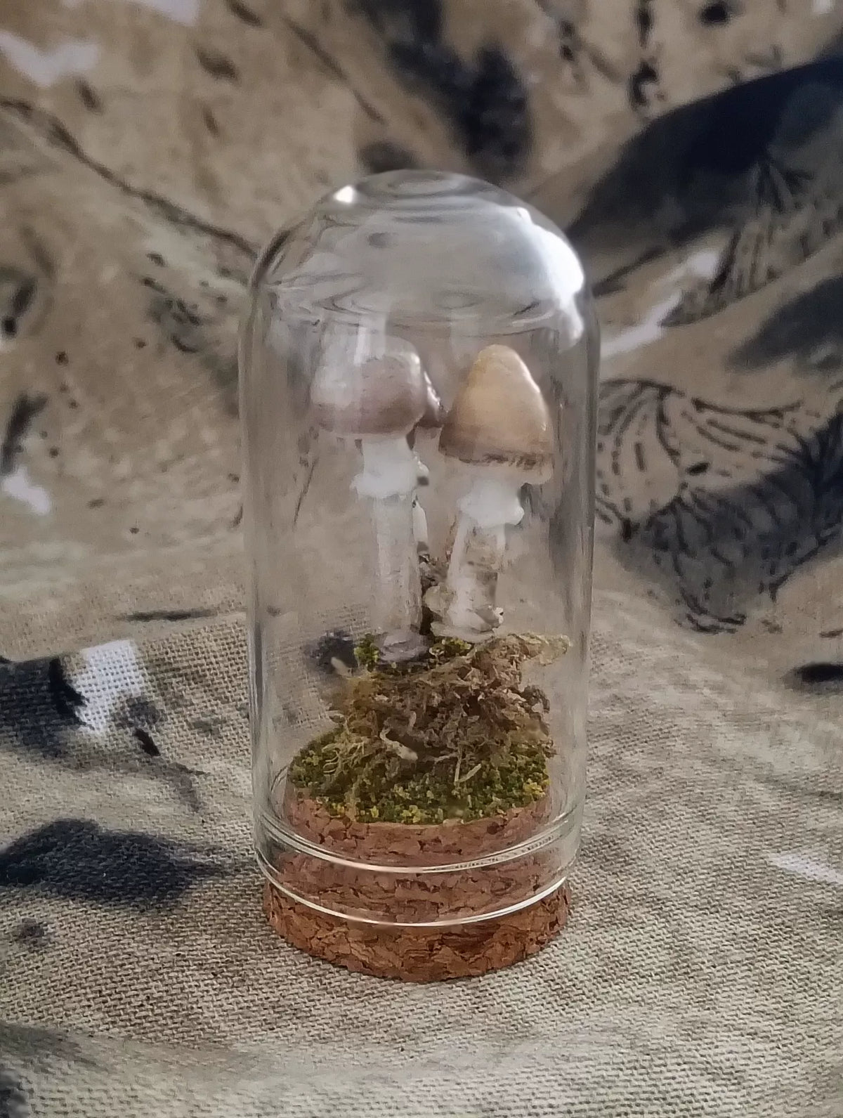 Scena di Funghi Artigianale in Campana di Vetro