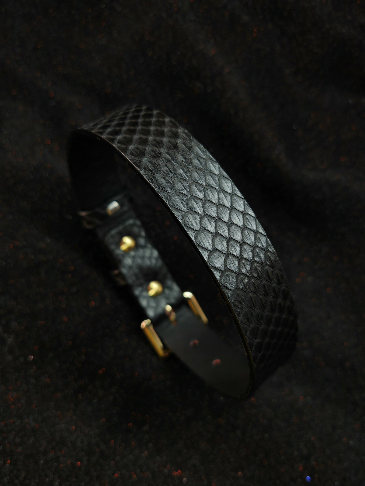 908644124709 - Image 1
