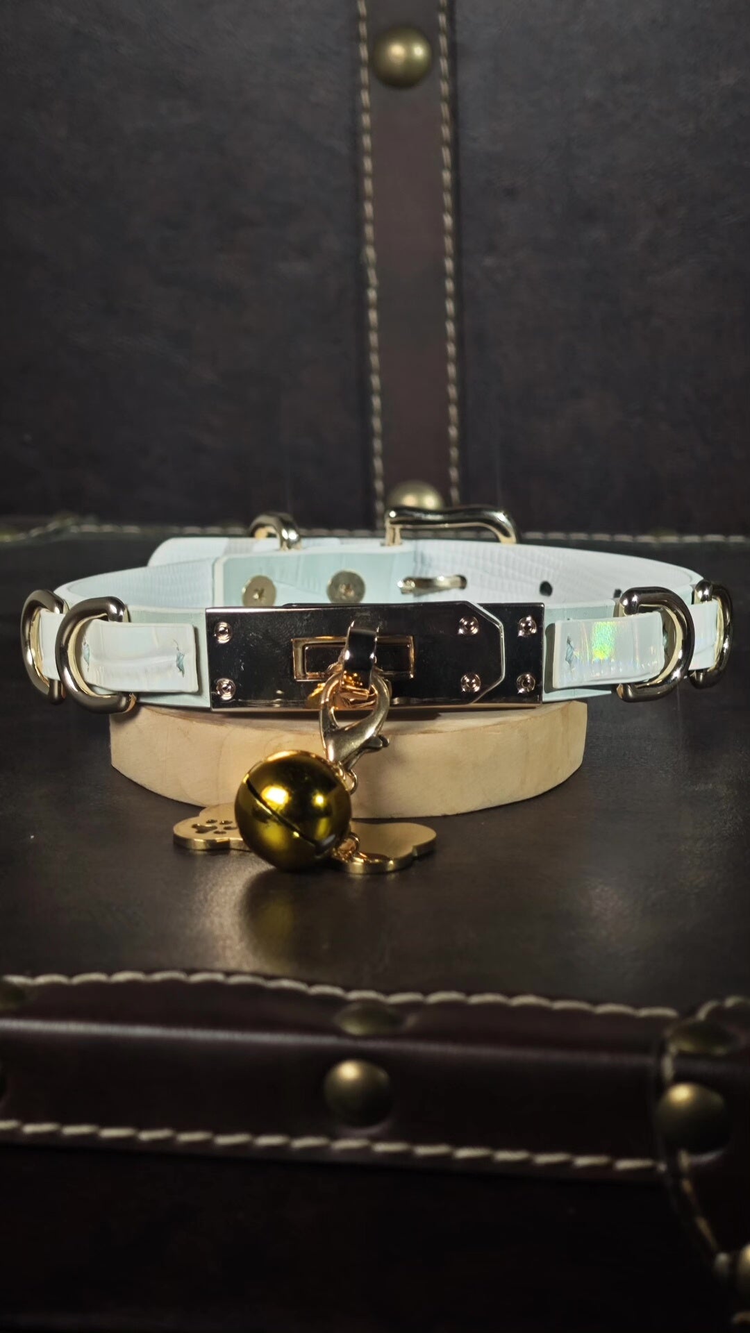 Gargoker de Couro Cobra Branco com Placa Prateada