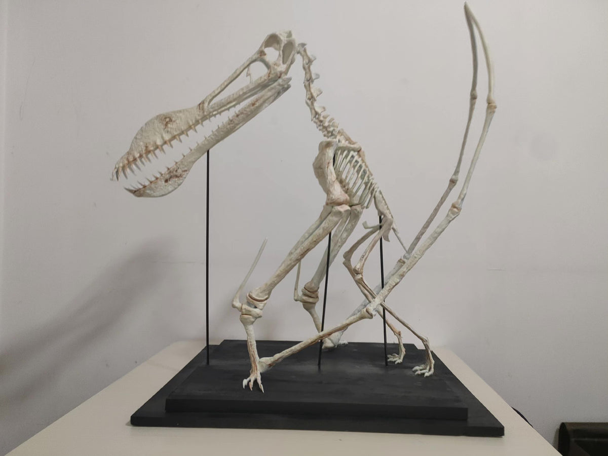 733088483125 - Image 2