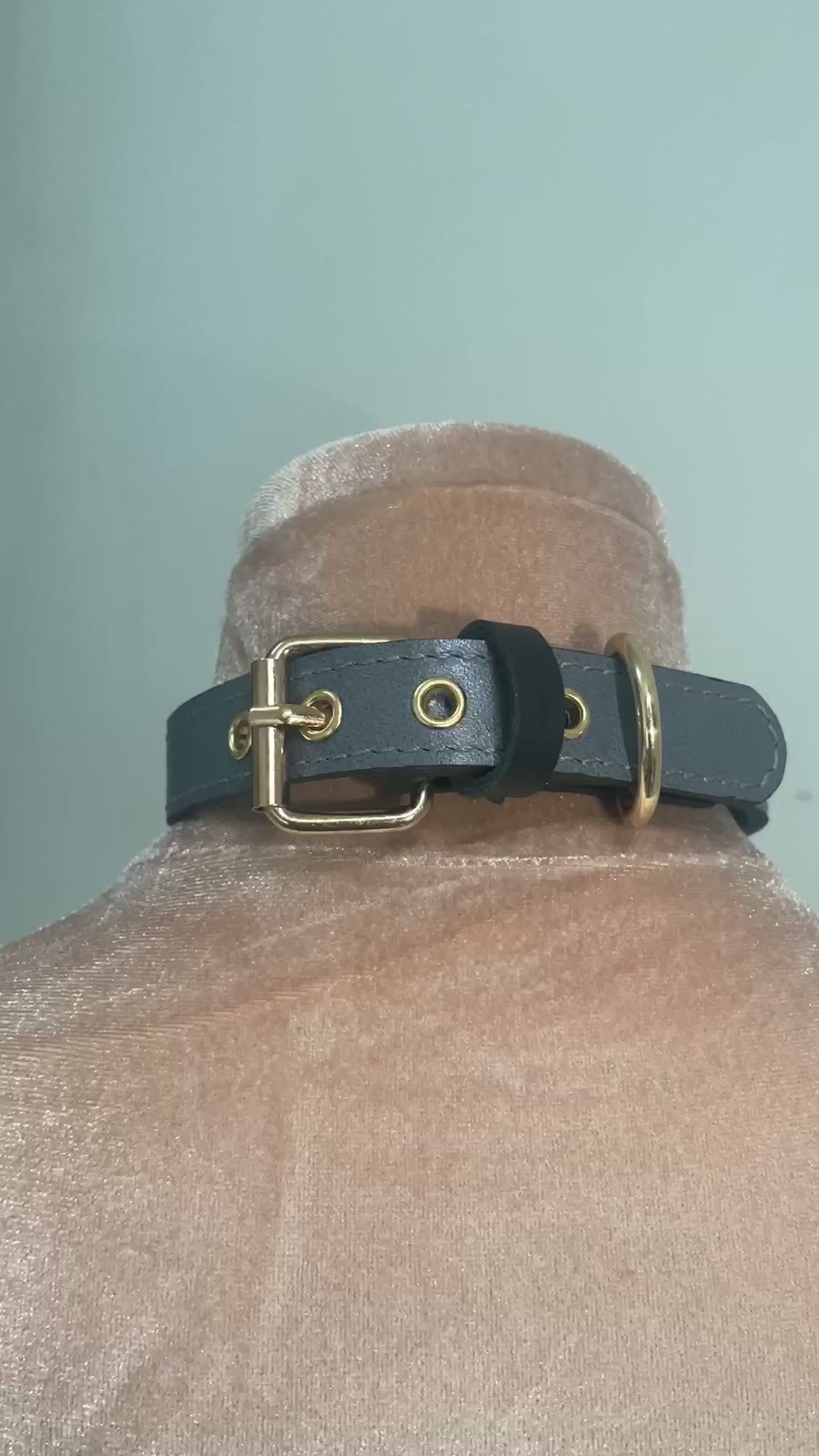 Hundehalsband aus violettem Echsenleder