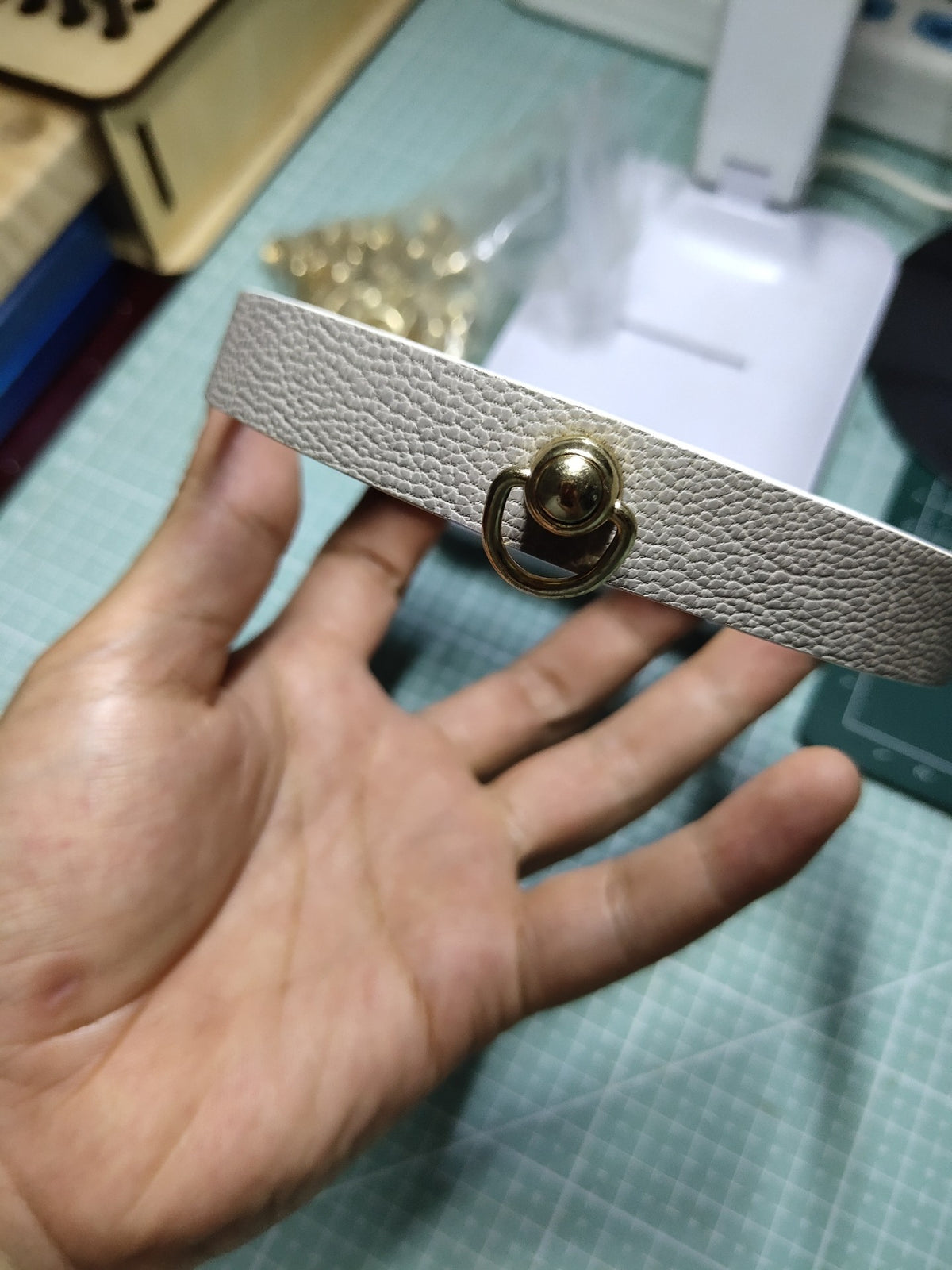 Light Gray Leather Collar Gold Hardware