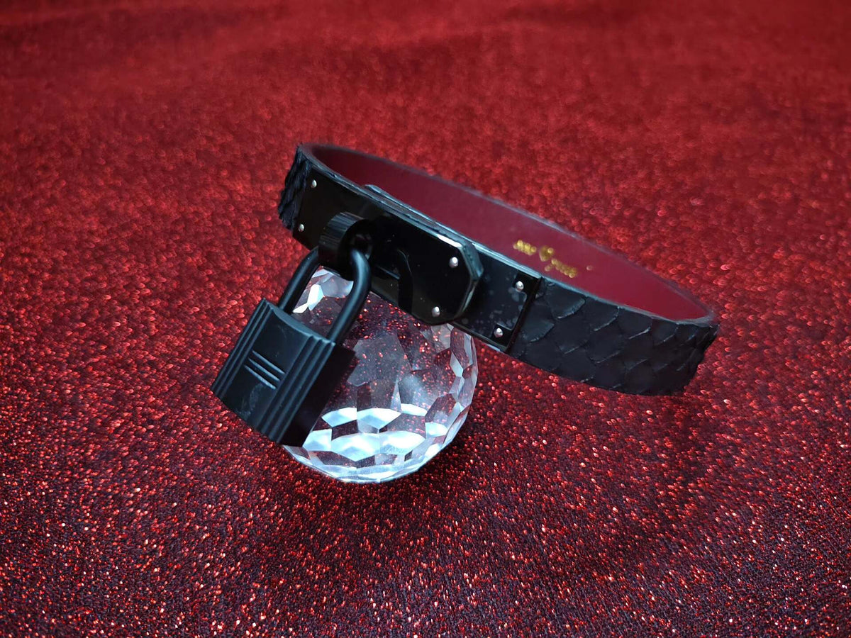 Black Snakeskin Pet Collar with Lock