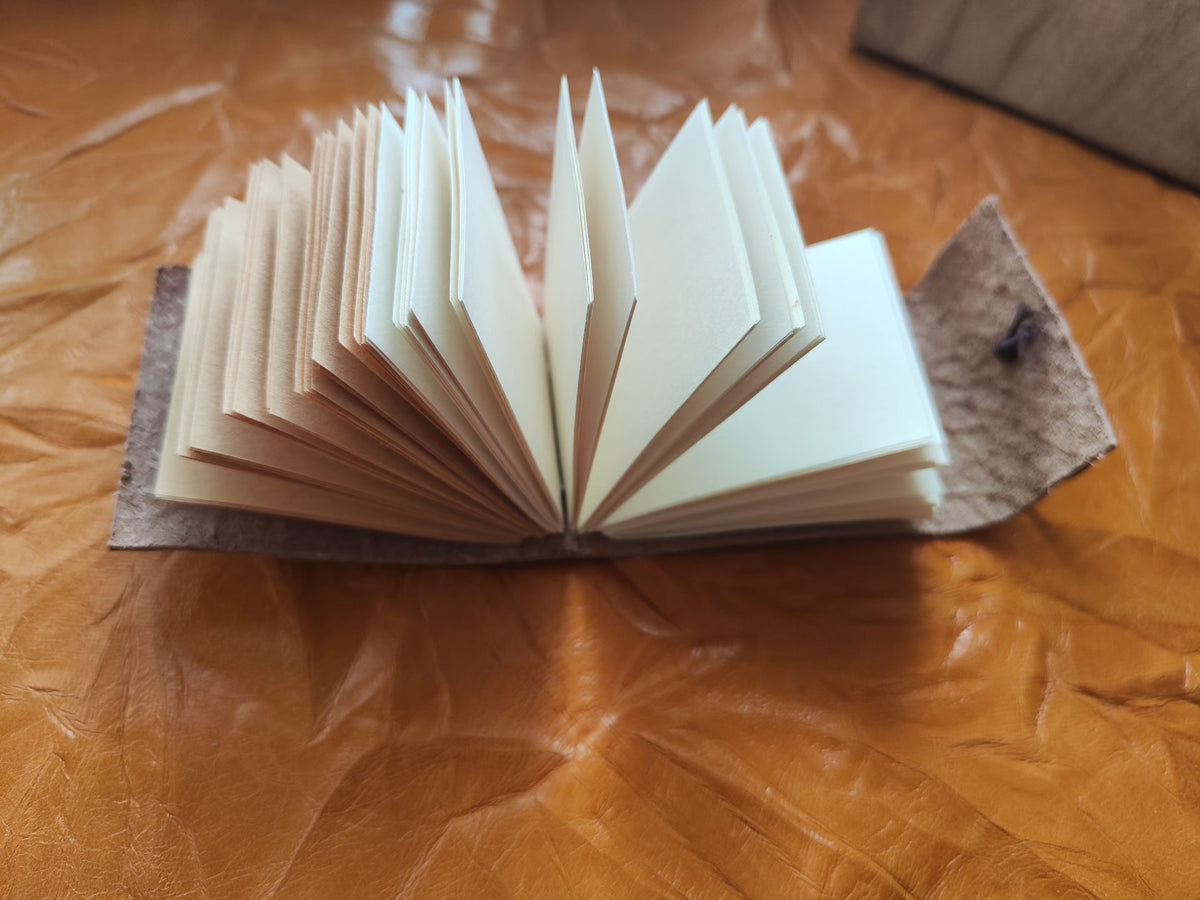 957176088162 - Image 3