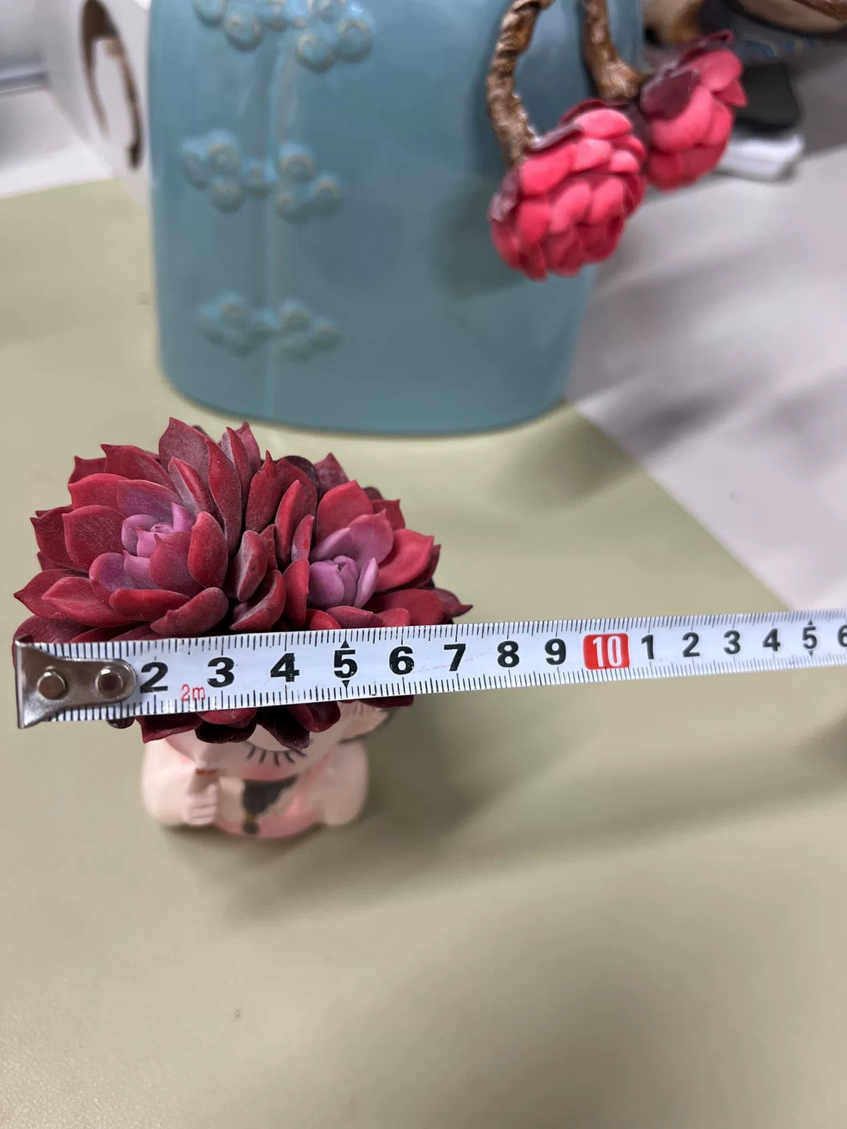 Resin Clay Succulent Two Head Desk Decor