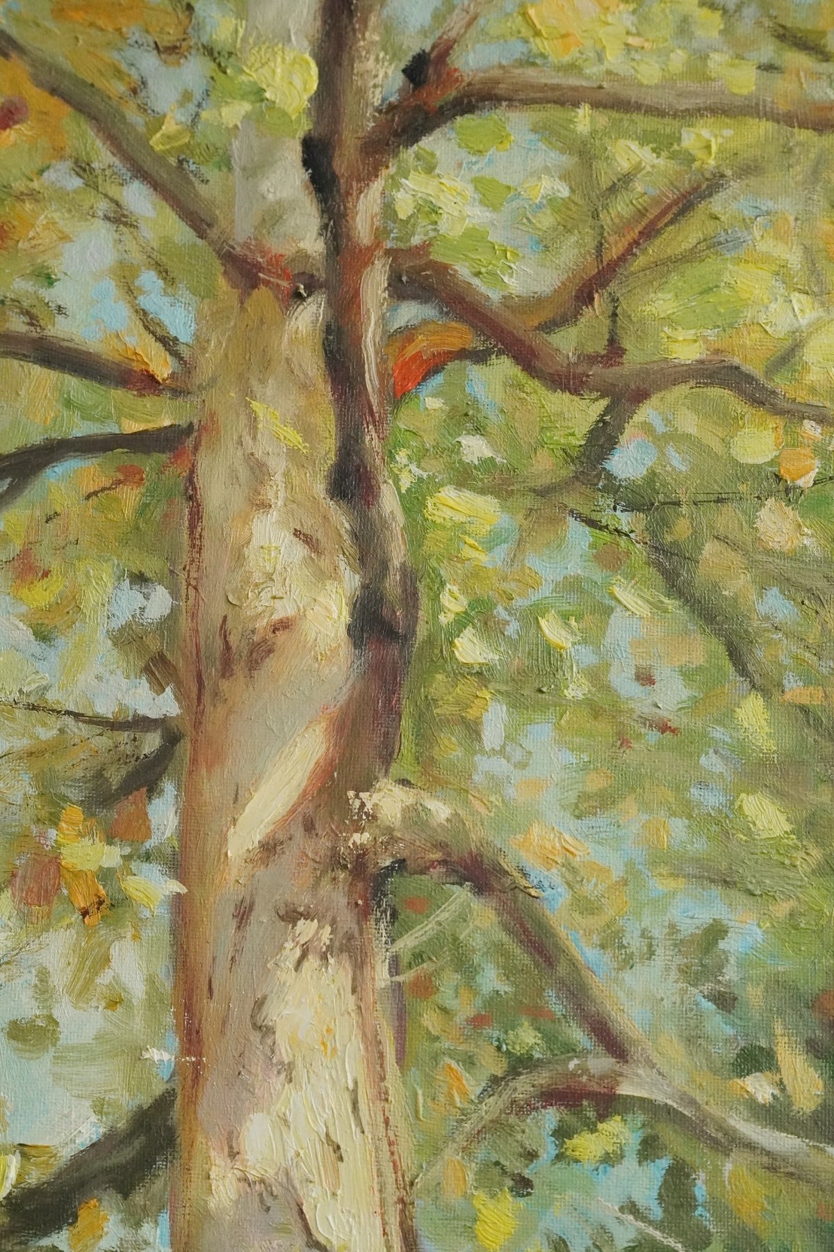 1013144316111 - Image 7