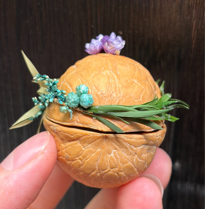 Walnut Shell Miniature Diorama with Coastal Scene