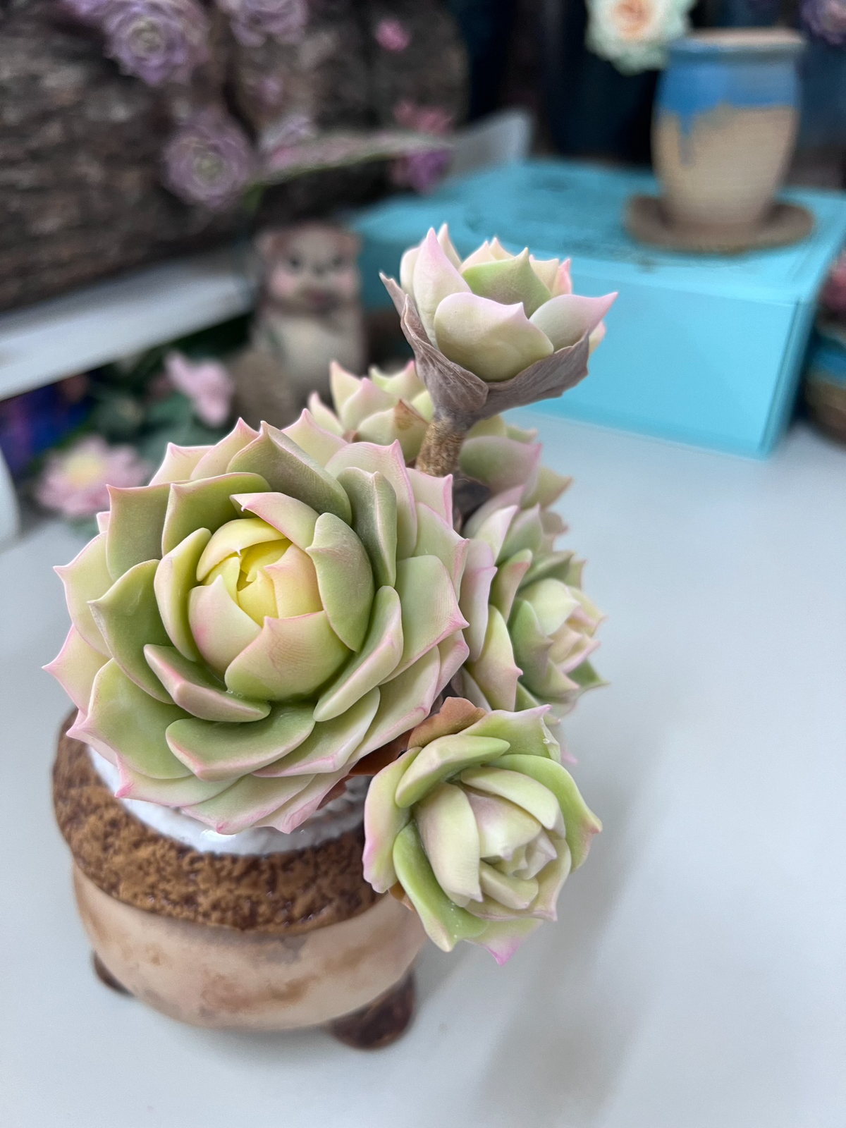 1023928501254 - Image 2