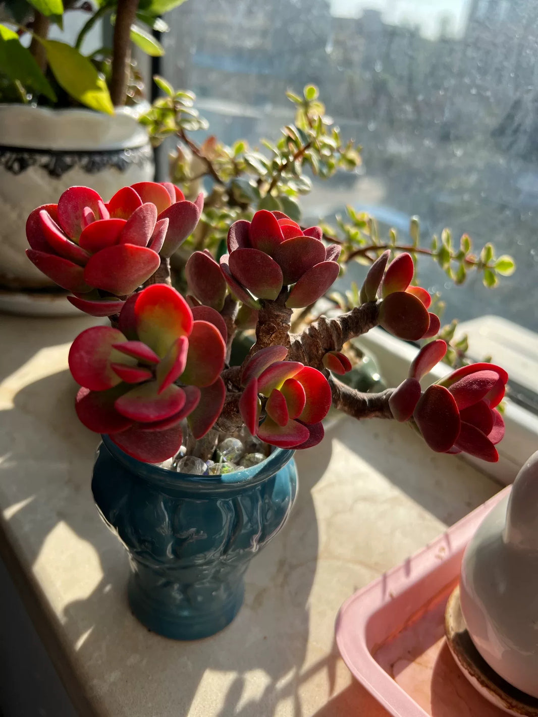987448593500 - Image 1