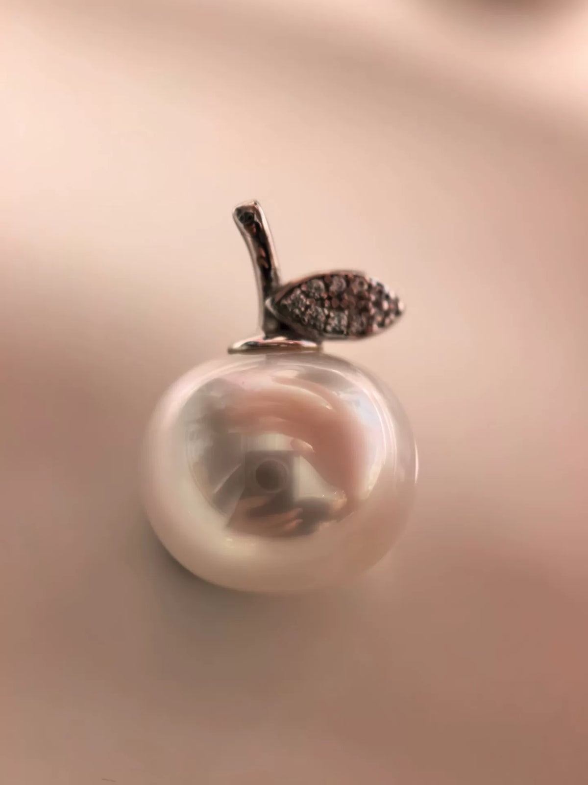 1005071924744 - Image 2
