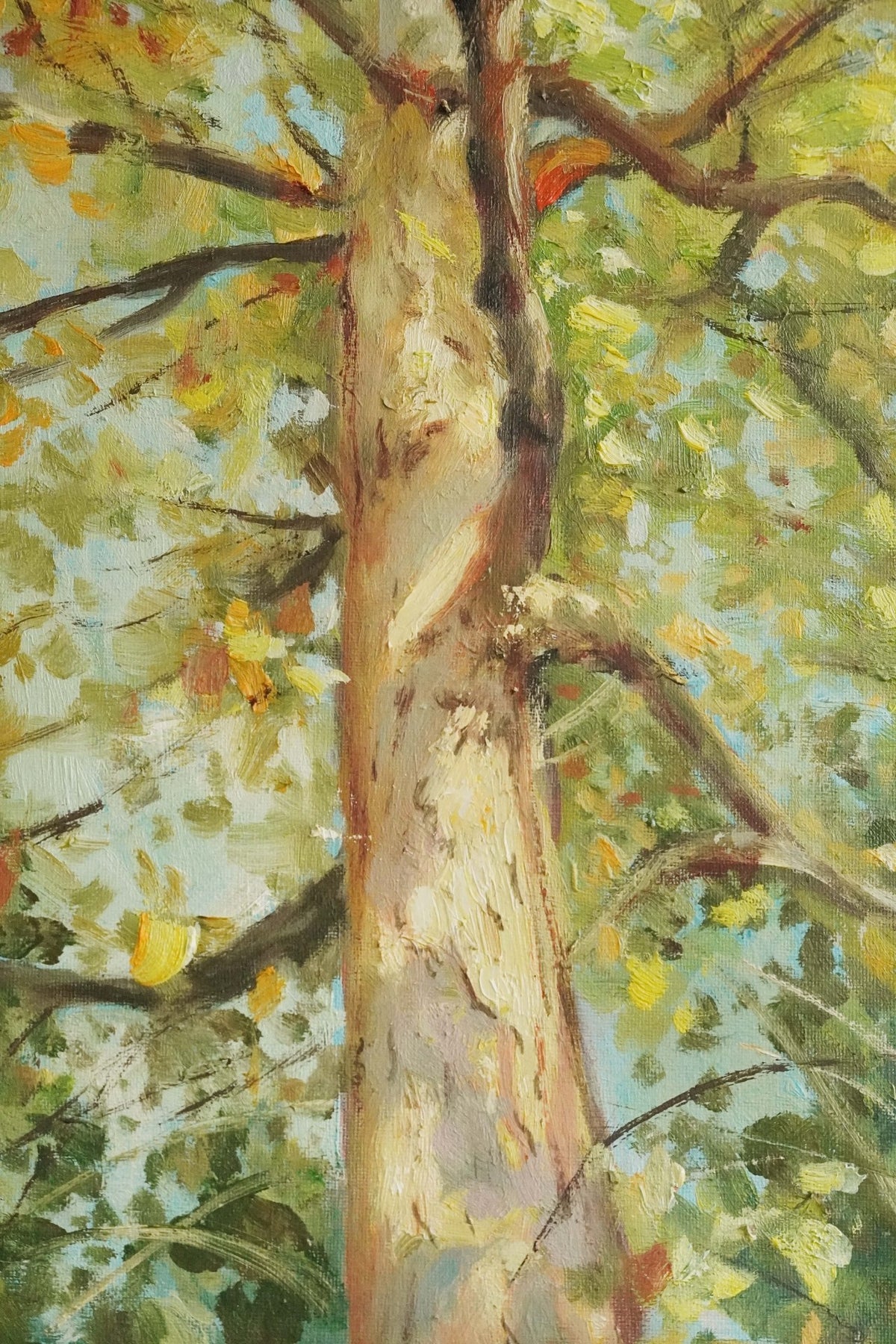 Tree Shadow Original Oil Painting 30x50