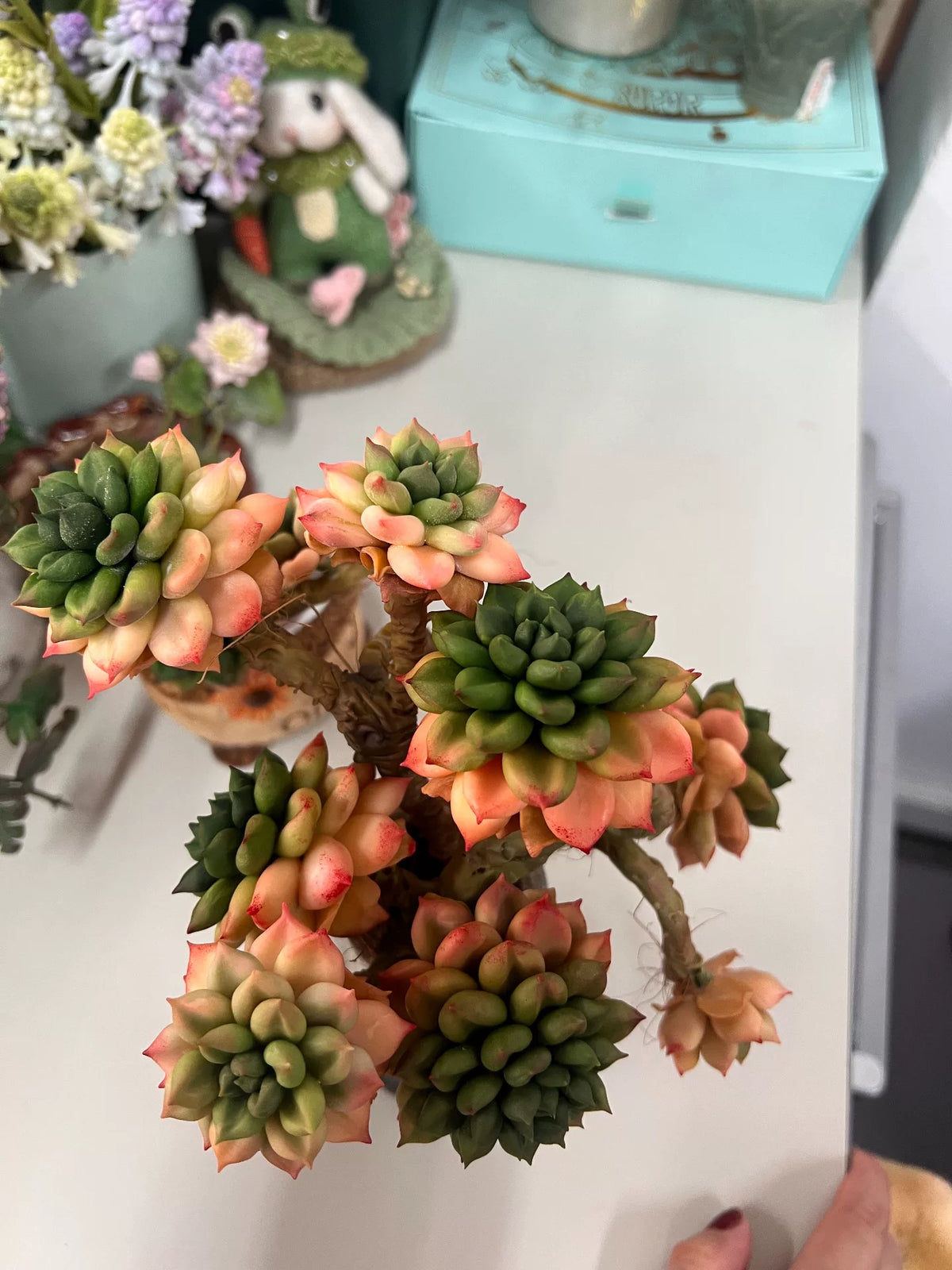 Succulenta in Argilla di Resina con Sette Rossette