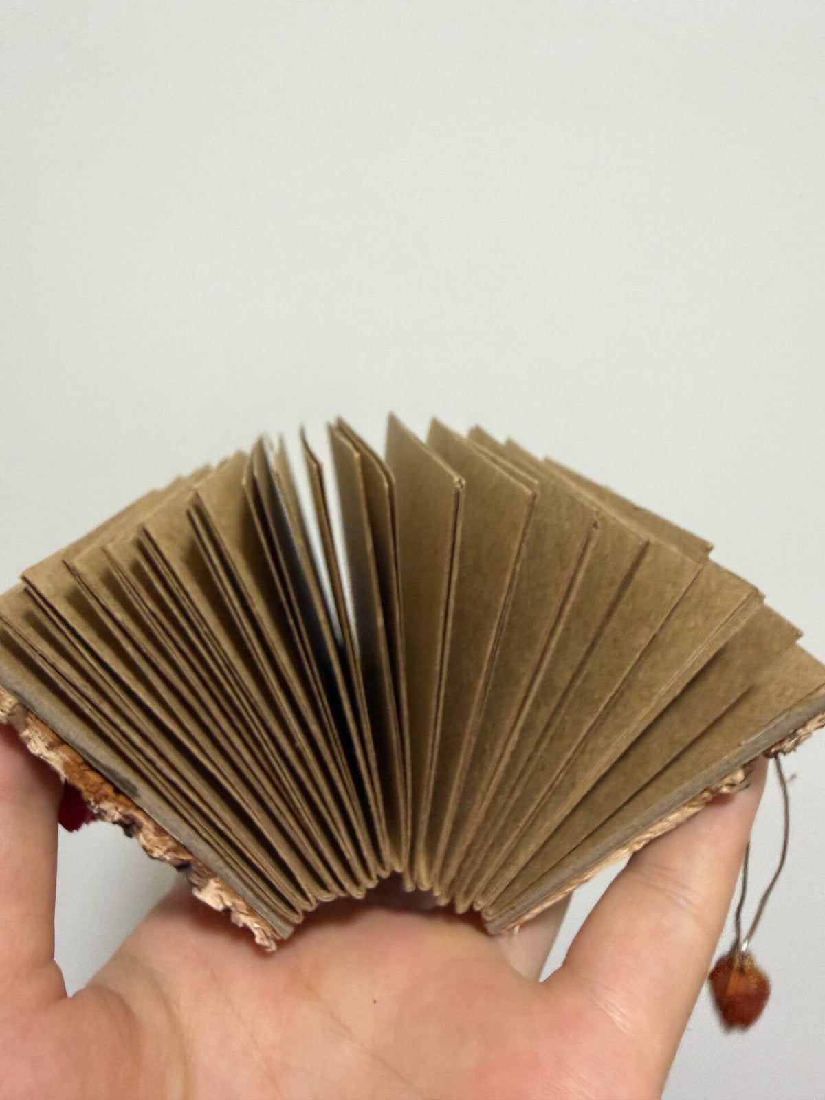 Birch Bark Mini Notebook with Dried Flowers