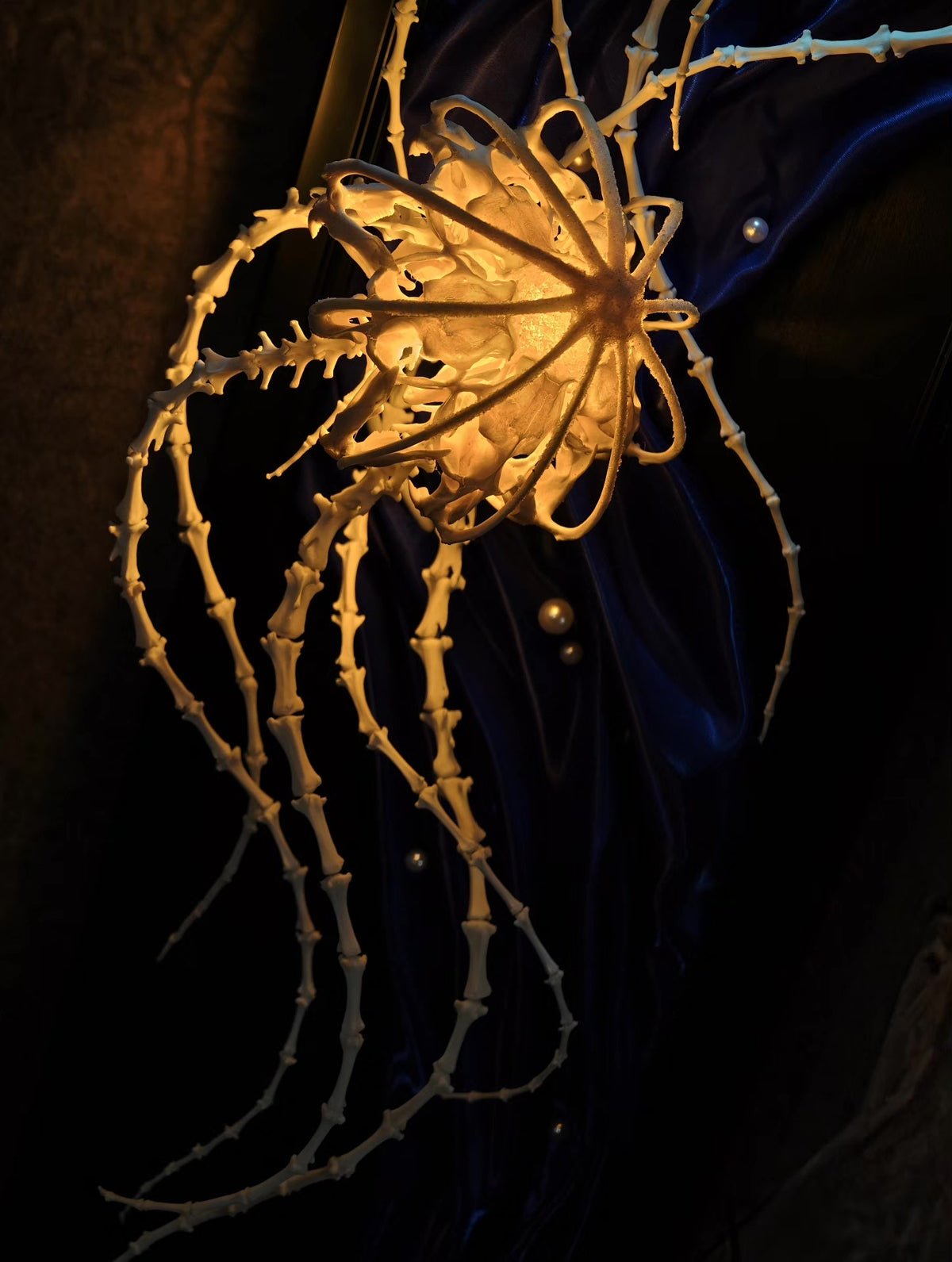 993273739686 - Image 2