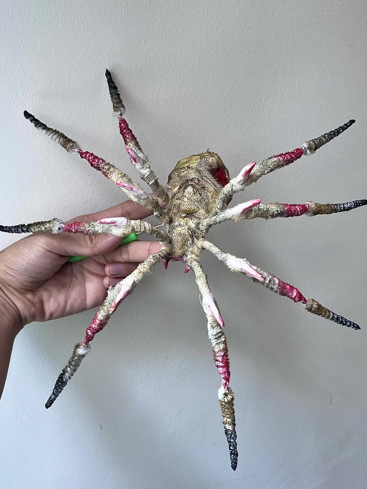 Handcrafted Chenille Stem Spider Dark Fantasy Prop