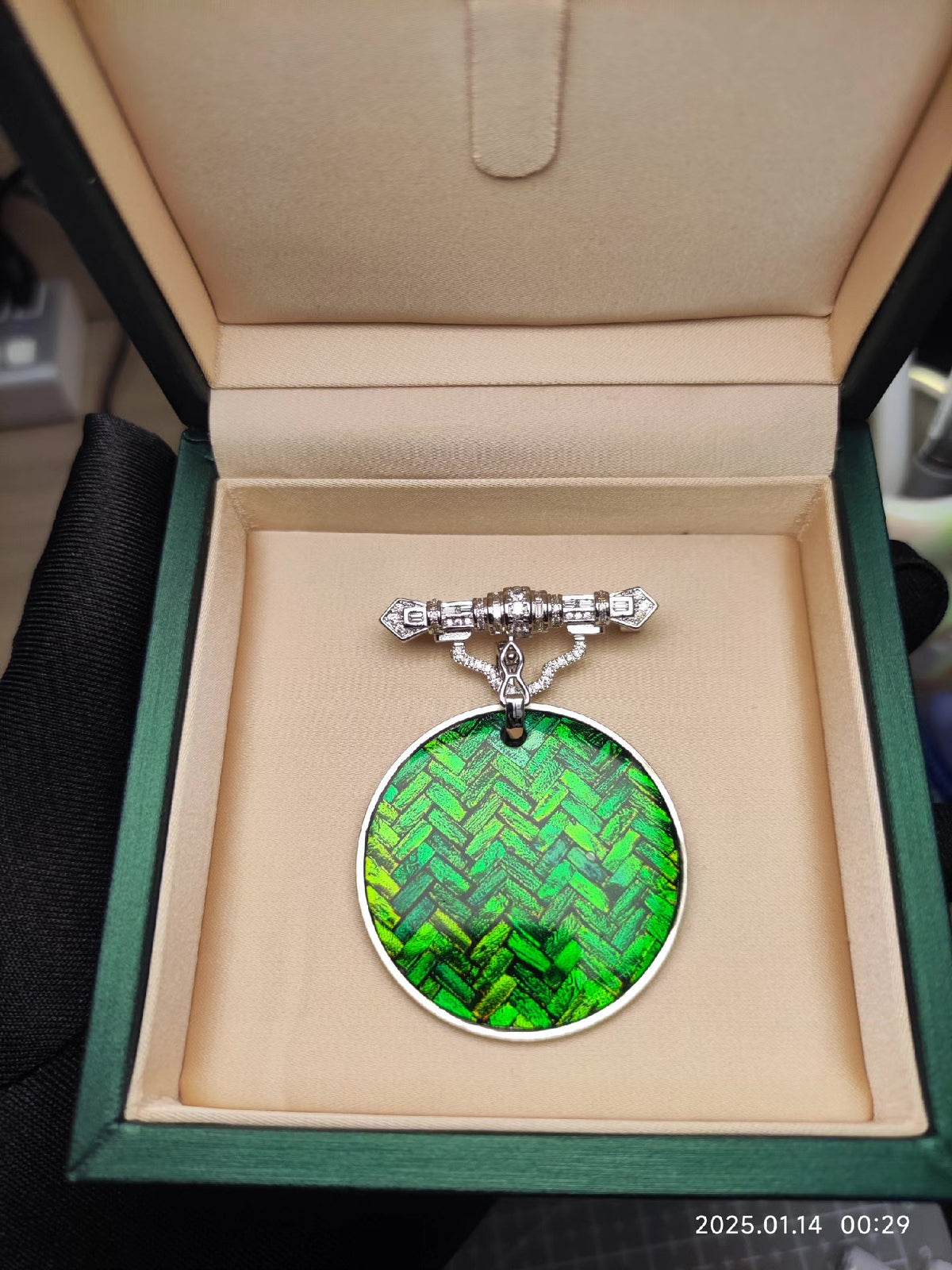 Pure Silver Jewel Beetle Brooch Pendant 40mm