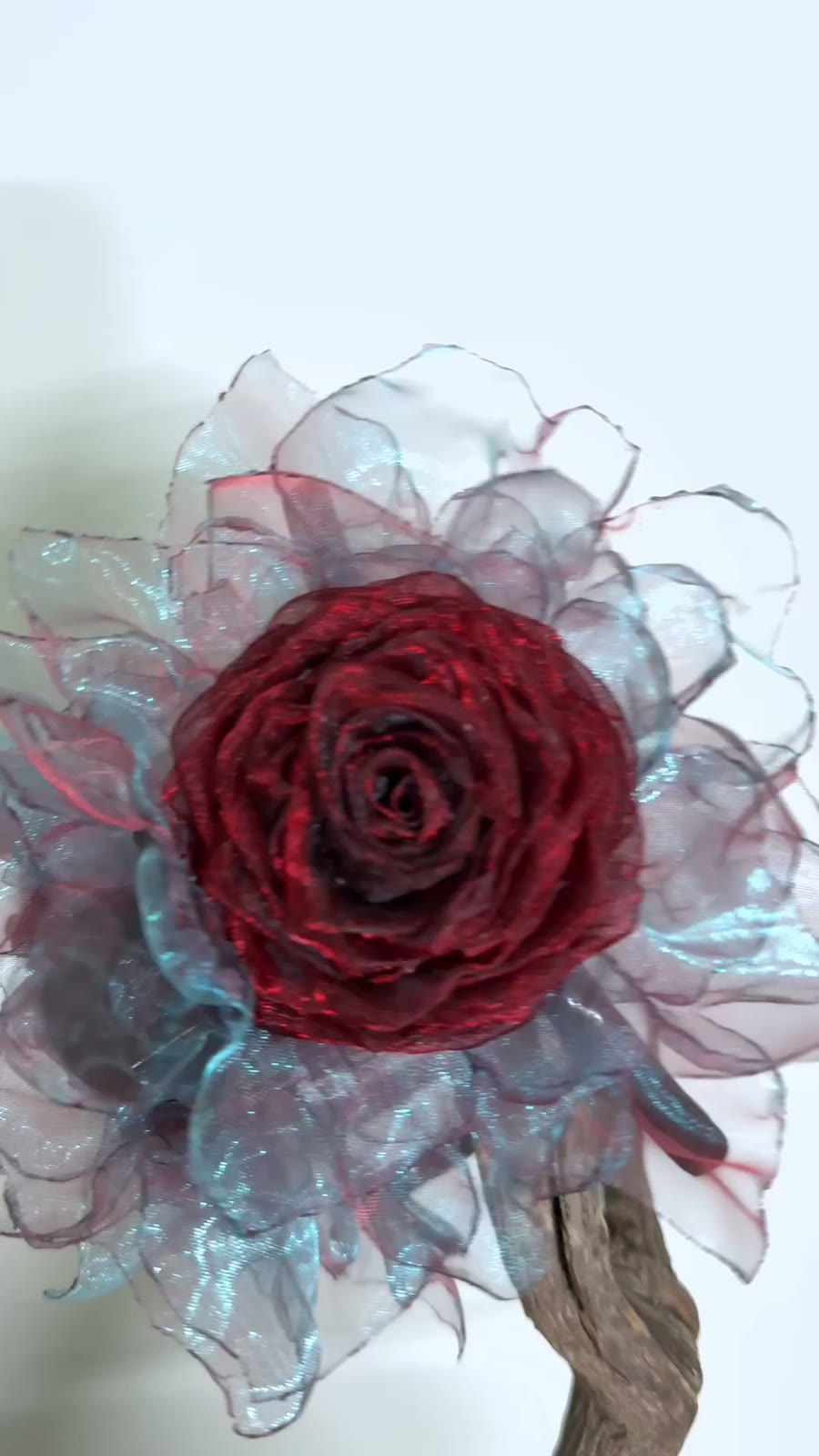 775457216582 - Image 2