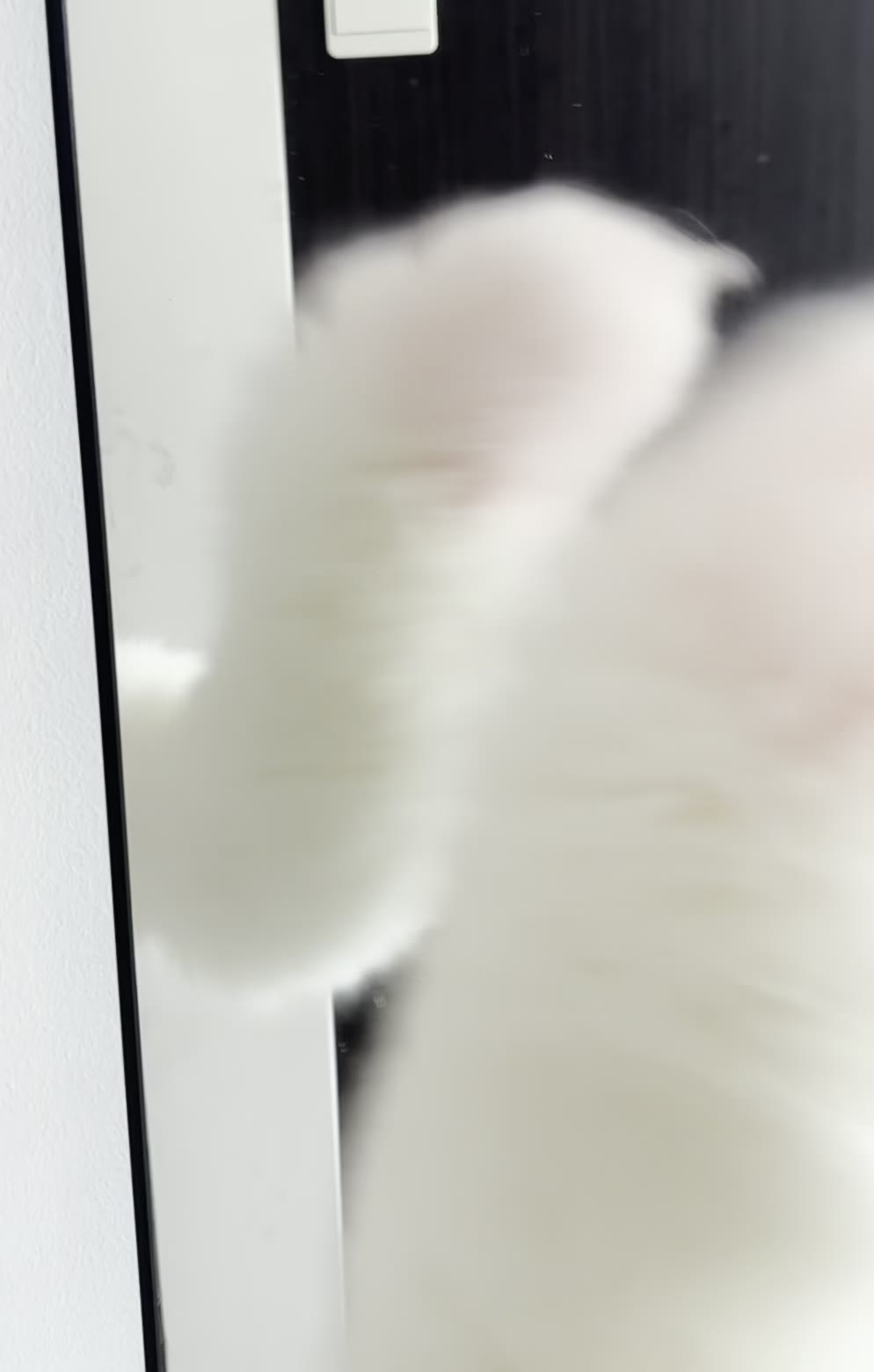 Electric Moving Fox Tail Cosplay Accessory