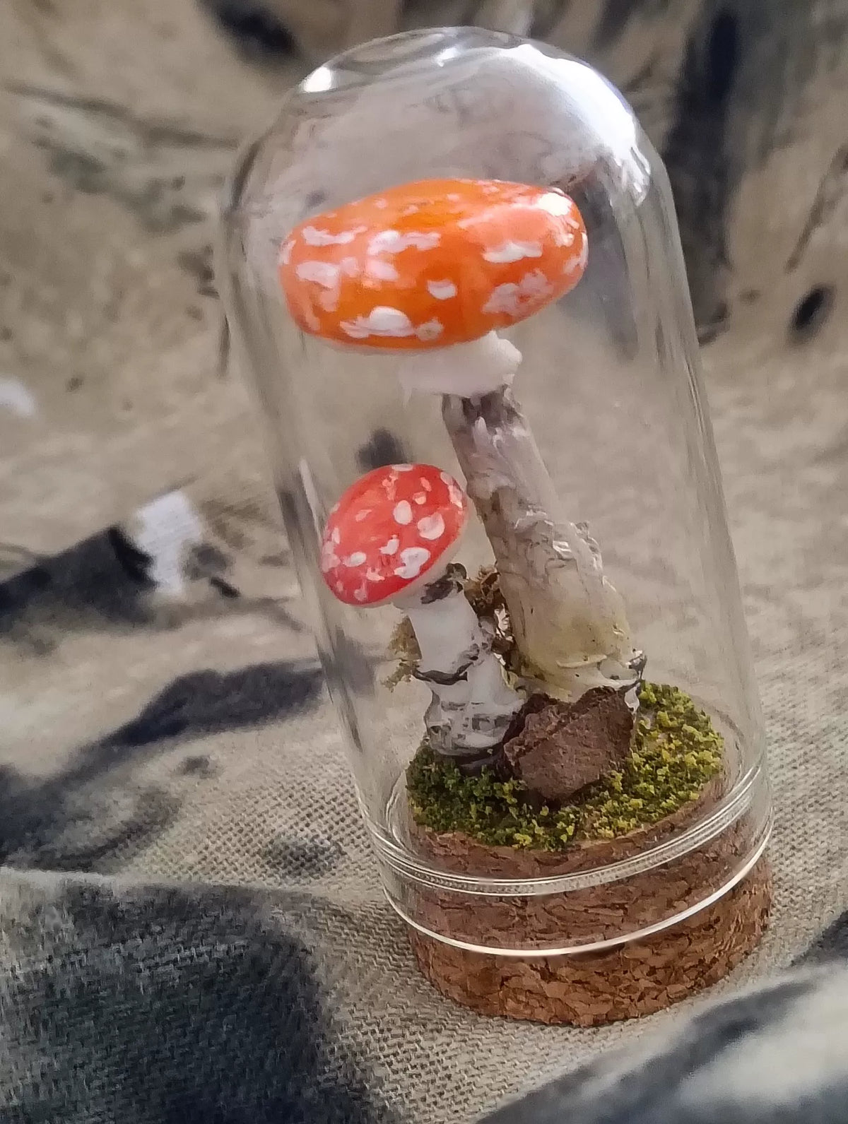 Handgefertigtes Pilz-Terrarium in Glasglocke