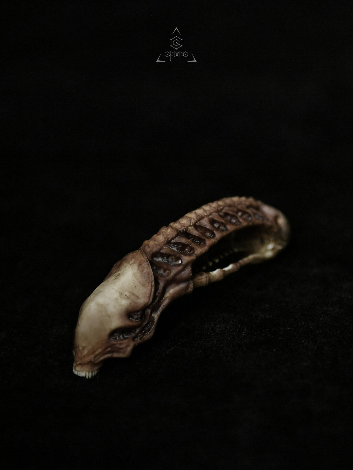 Xenomorph Skeleton Display Case Wood Brass