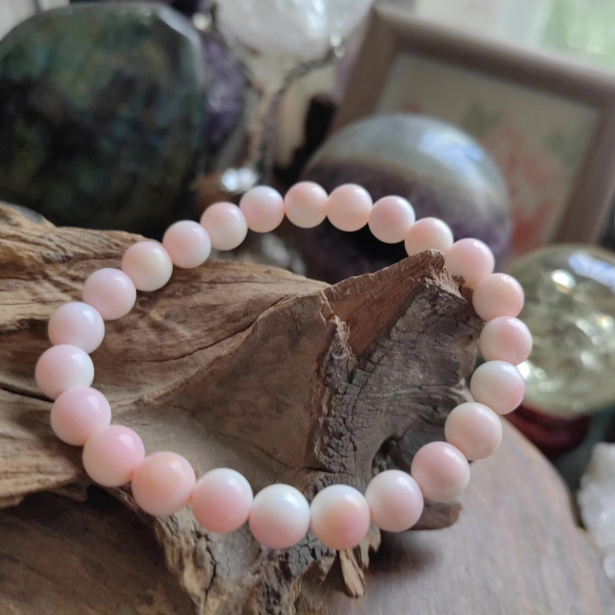Natural Queen Conch Shell Bead Bracelet