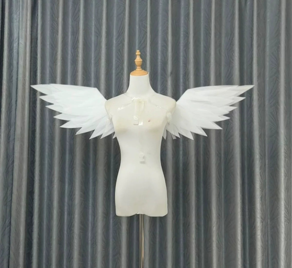 1072853756568 - Image 1