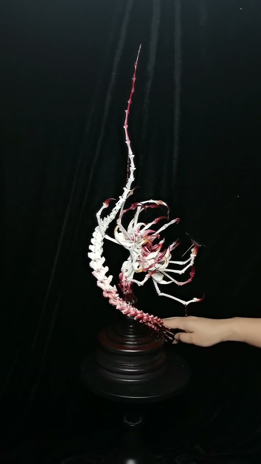 847488830223 - Image 10