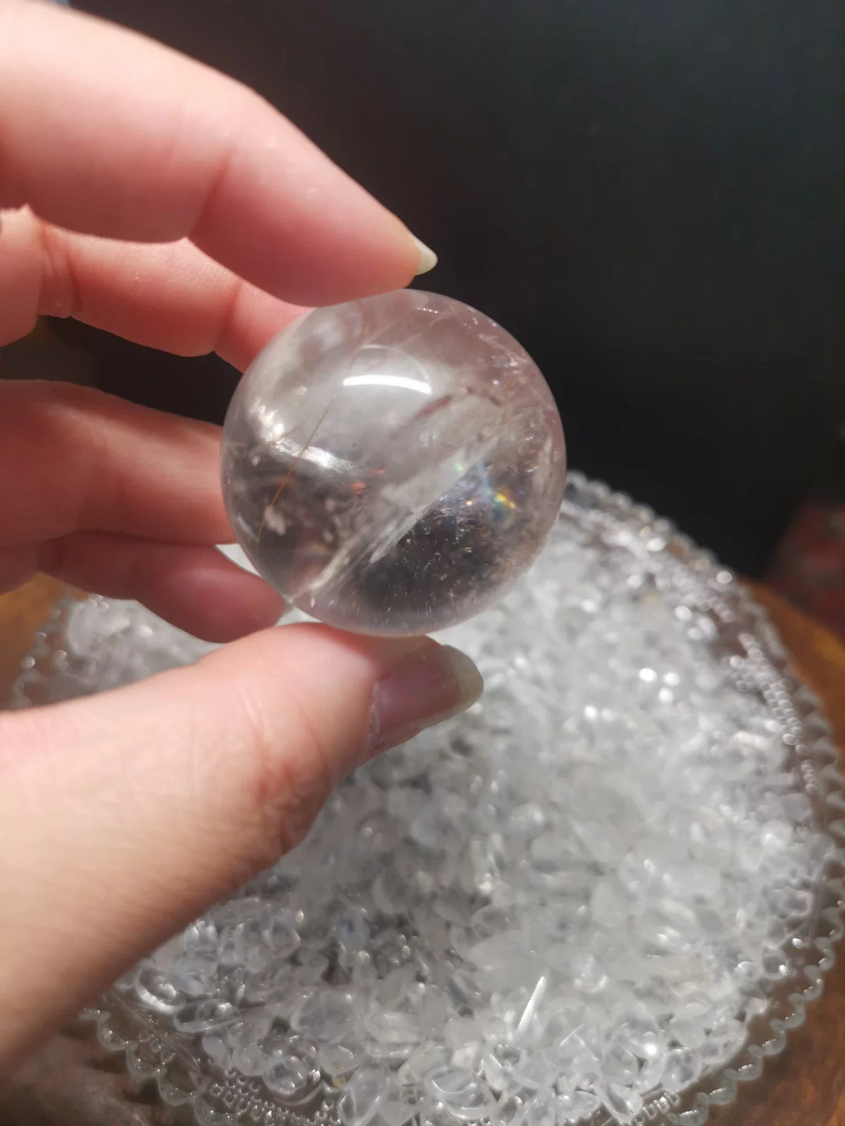 679463071981 - Image 3
