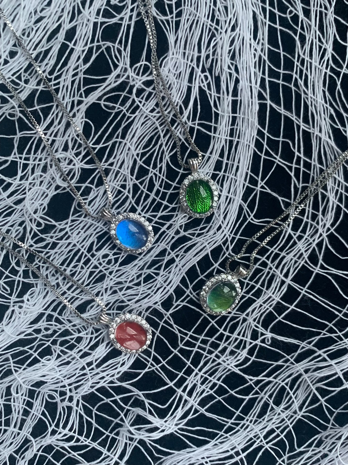 Collection de colliers ailes d'insectes sous dôme de cristal