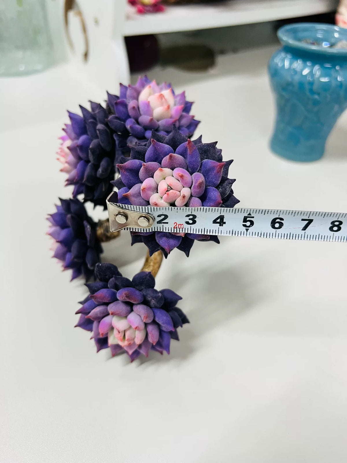 Decoração de Suculenta Roxa em Argila de Resina