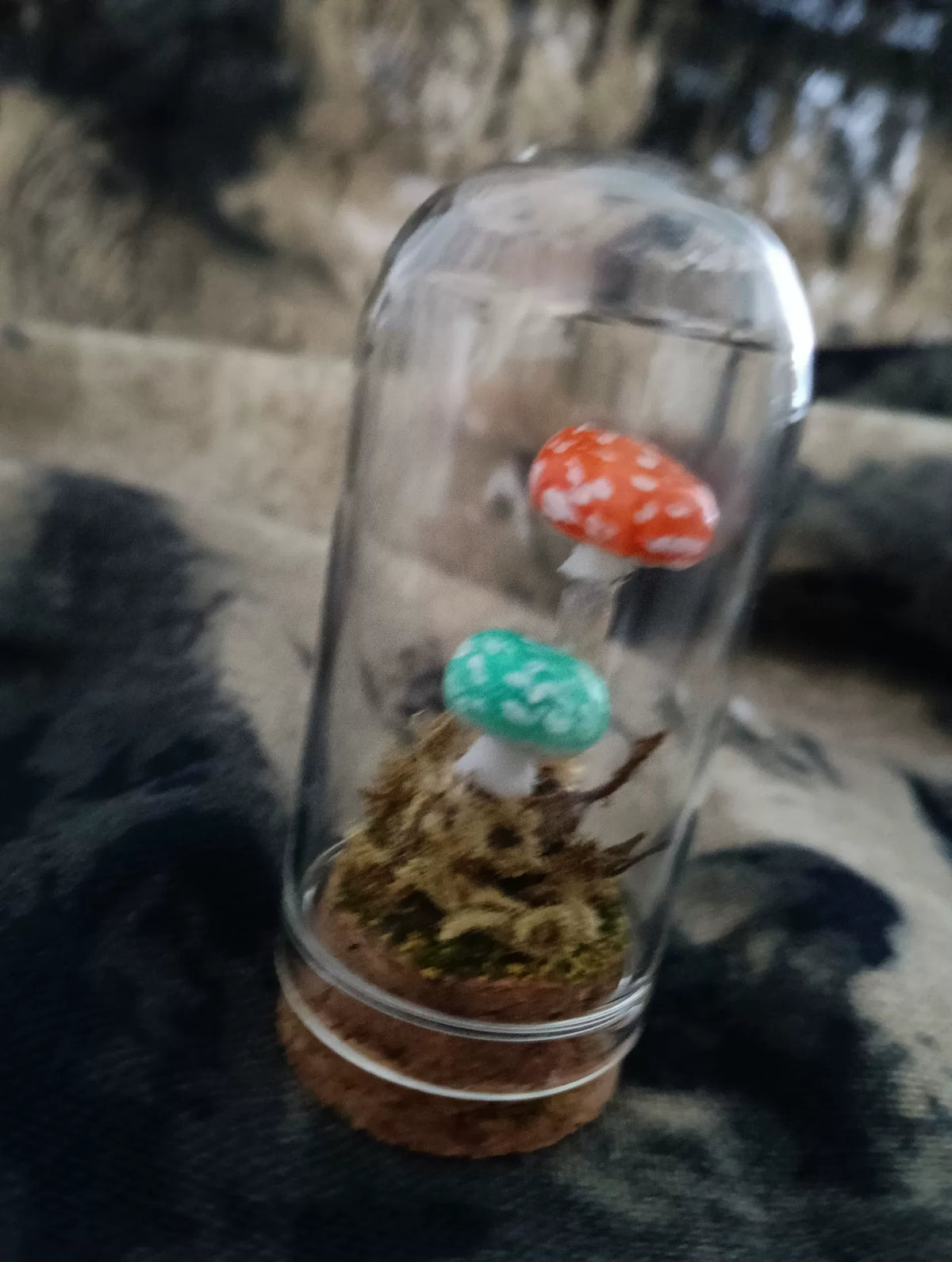 Terrarium de champignons fait main sous cloche de verre