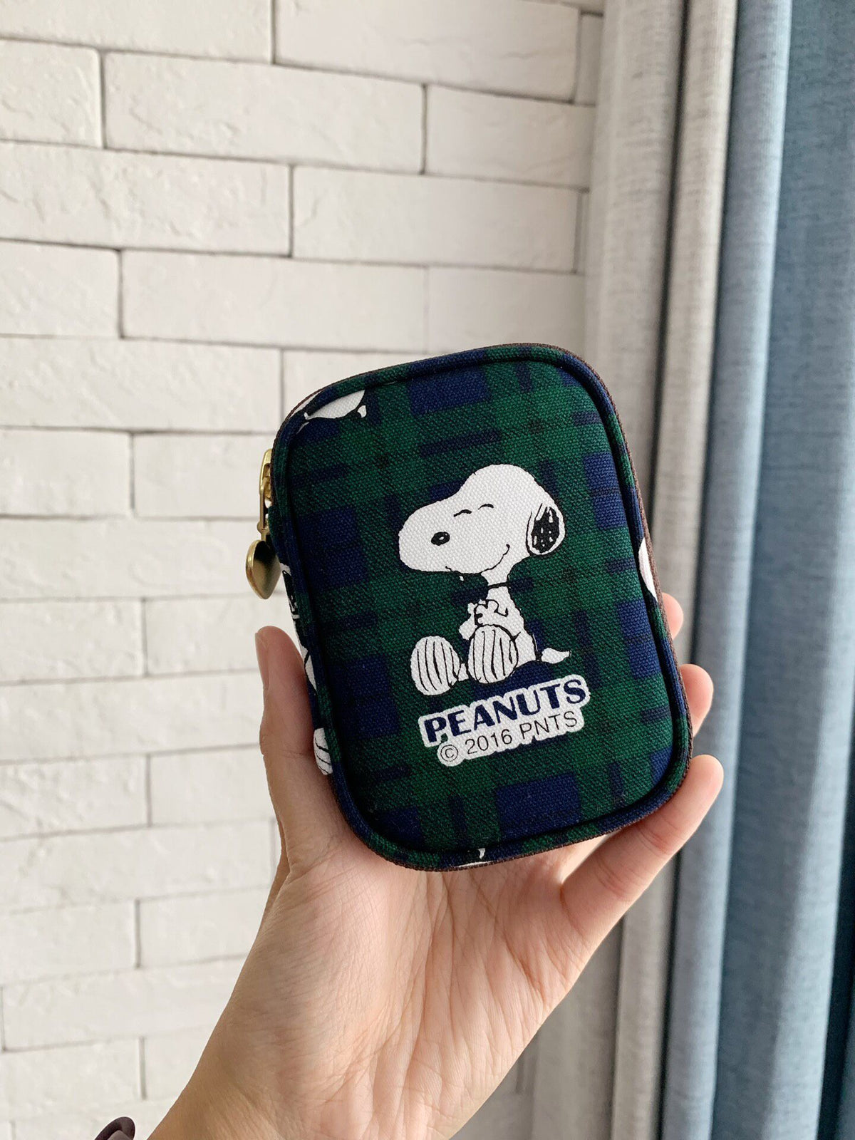 Snoopy Plaid Oxford Cloth Storage Case