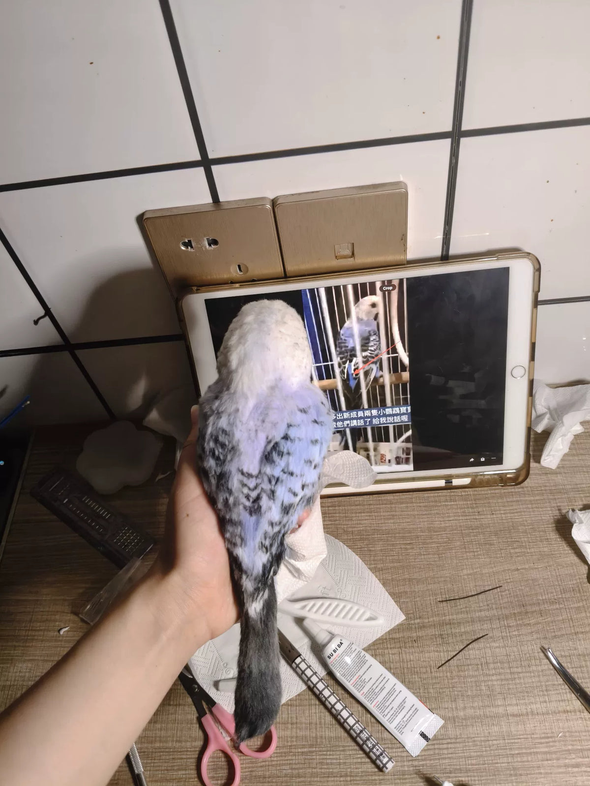 1077611927348 - Image 3