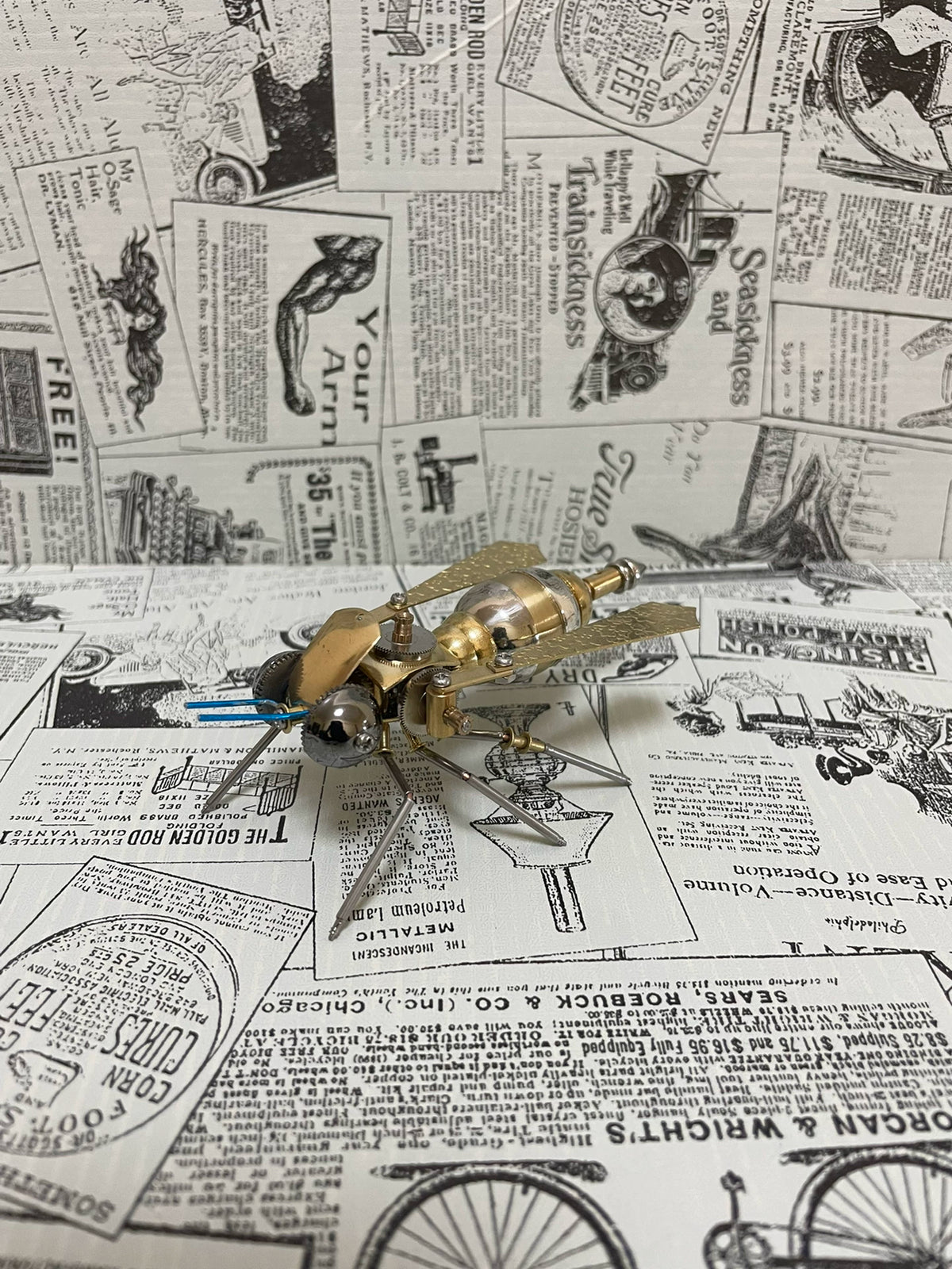 672856734177 - Image 1