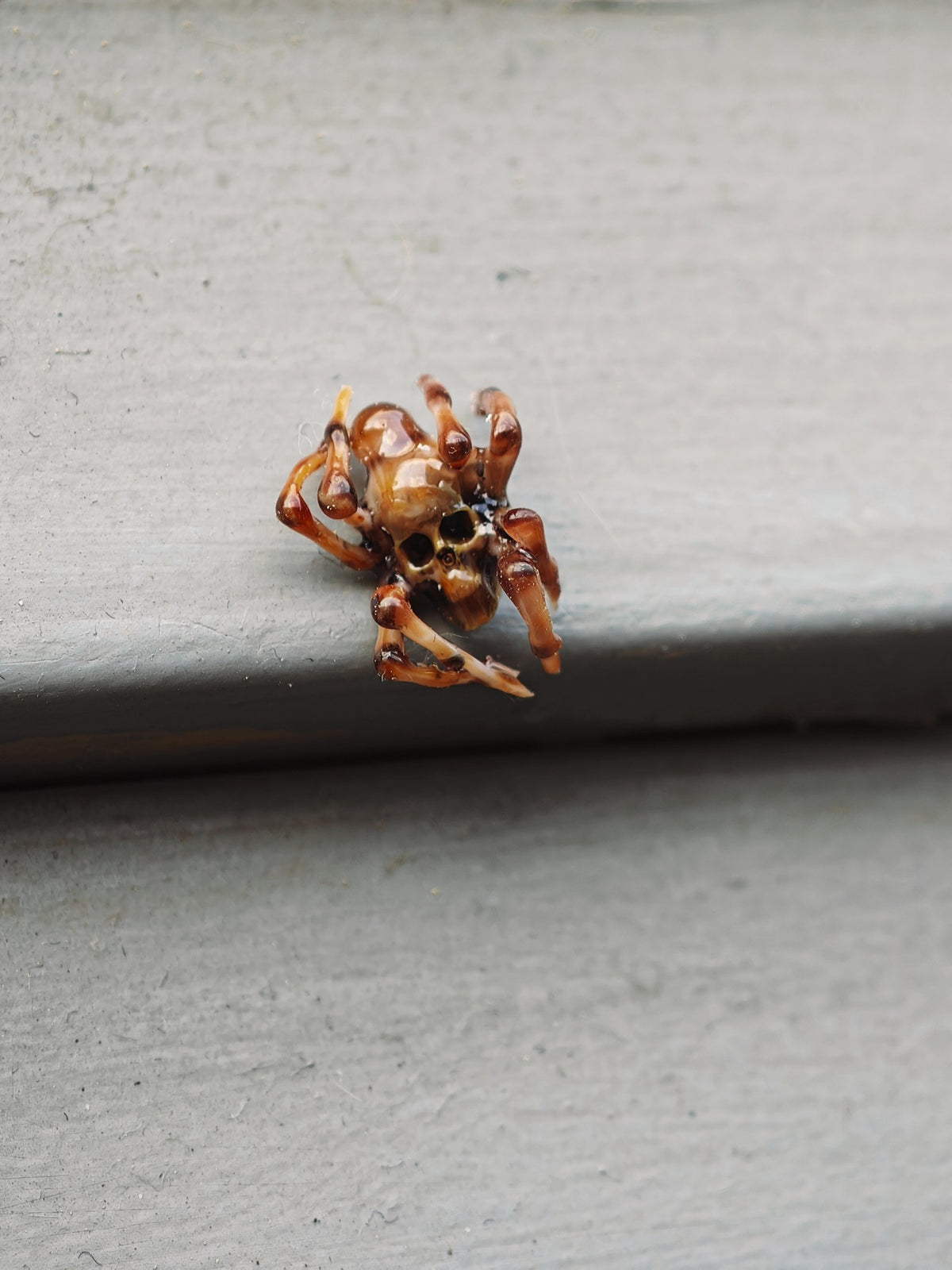 1050618941050 - Image 5