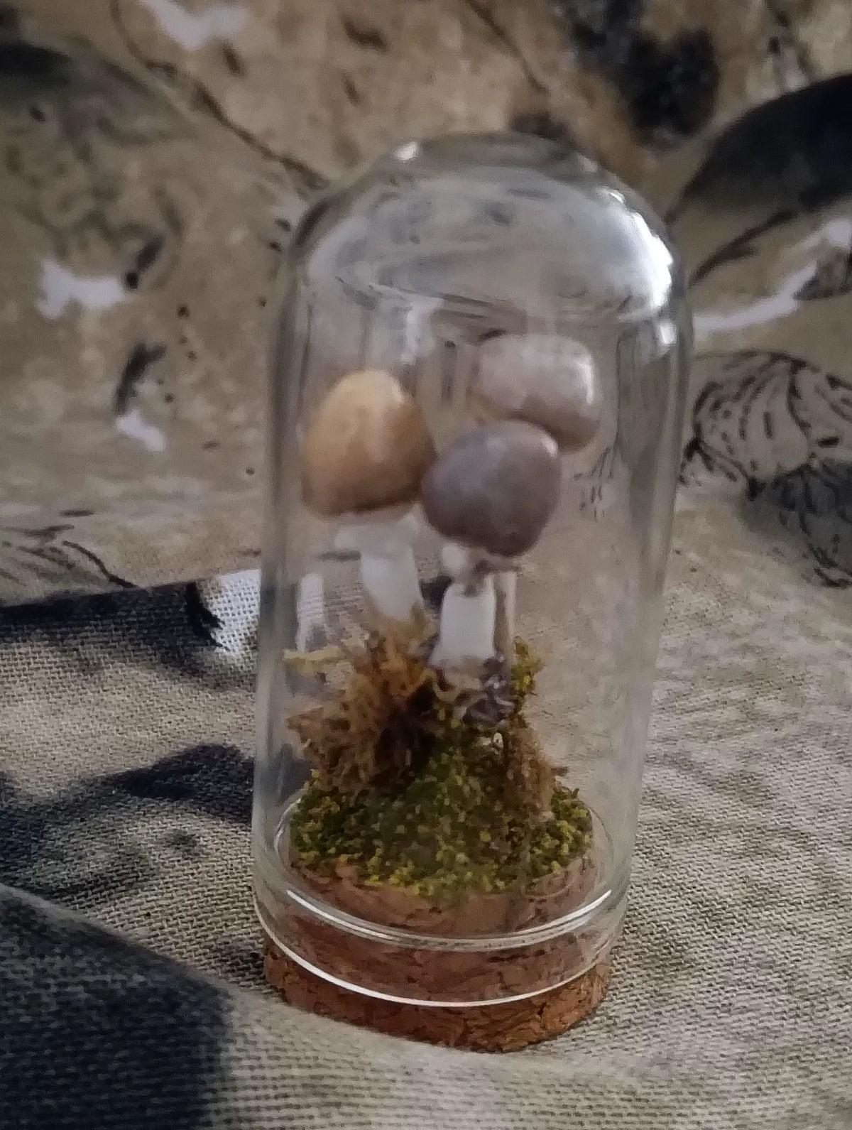 Scena di Funghi Artigianale in Campana di Vetro