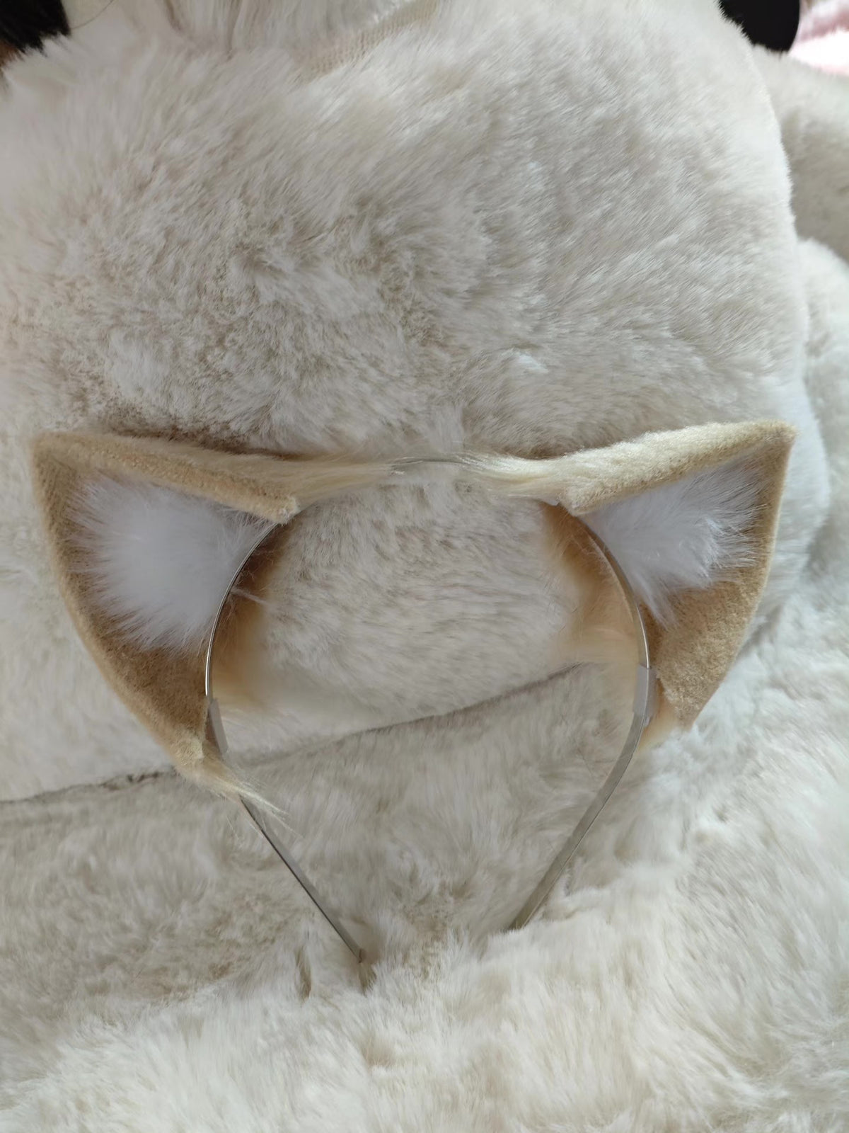 1037986506263 - Image 2