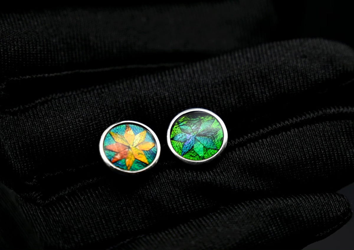 Pure Silver Jewel Beetle Stud Earrings 10mm