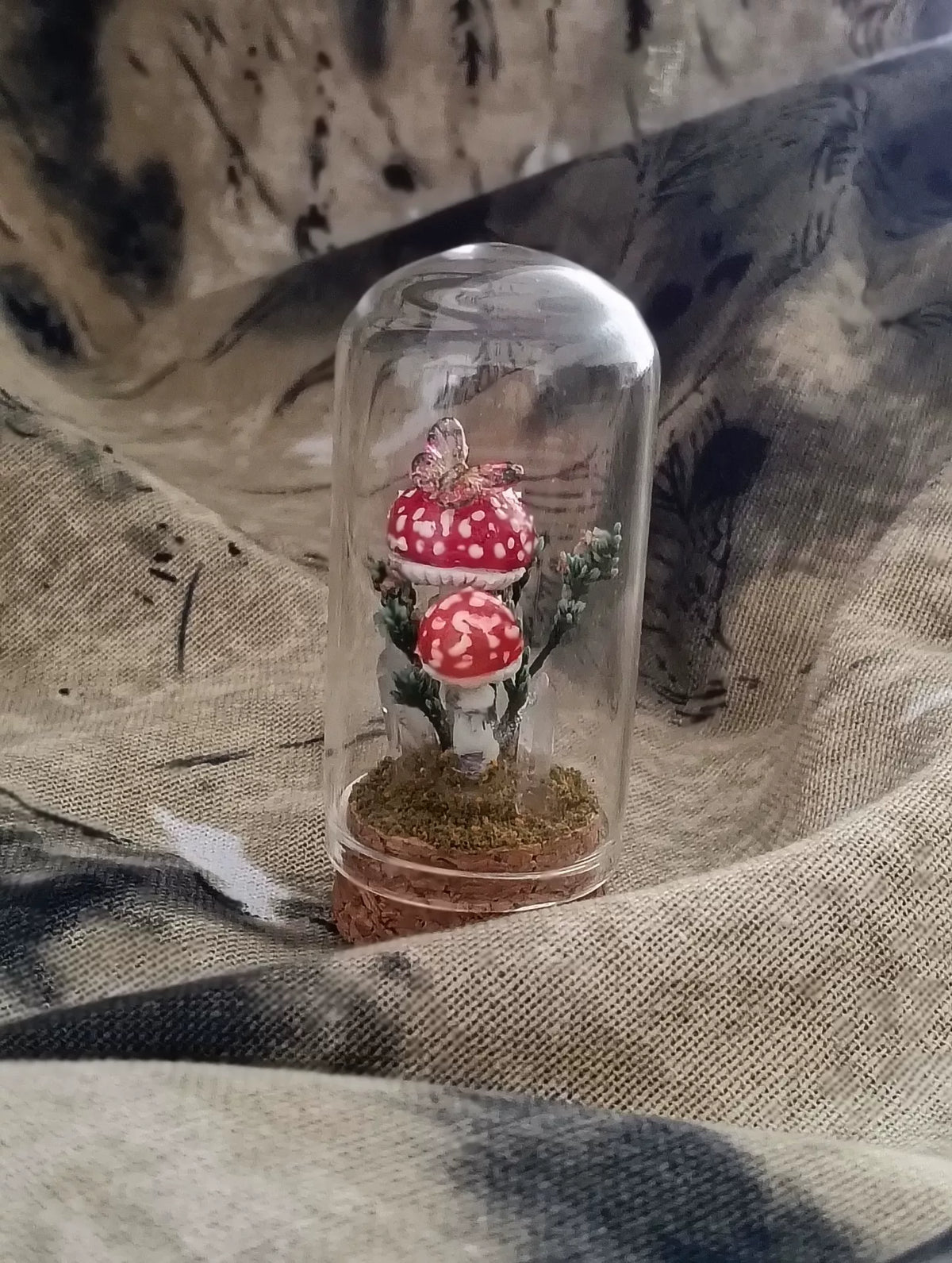 Terrário de Cogumelos Artesanal em Cúpula de Vidro