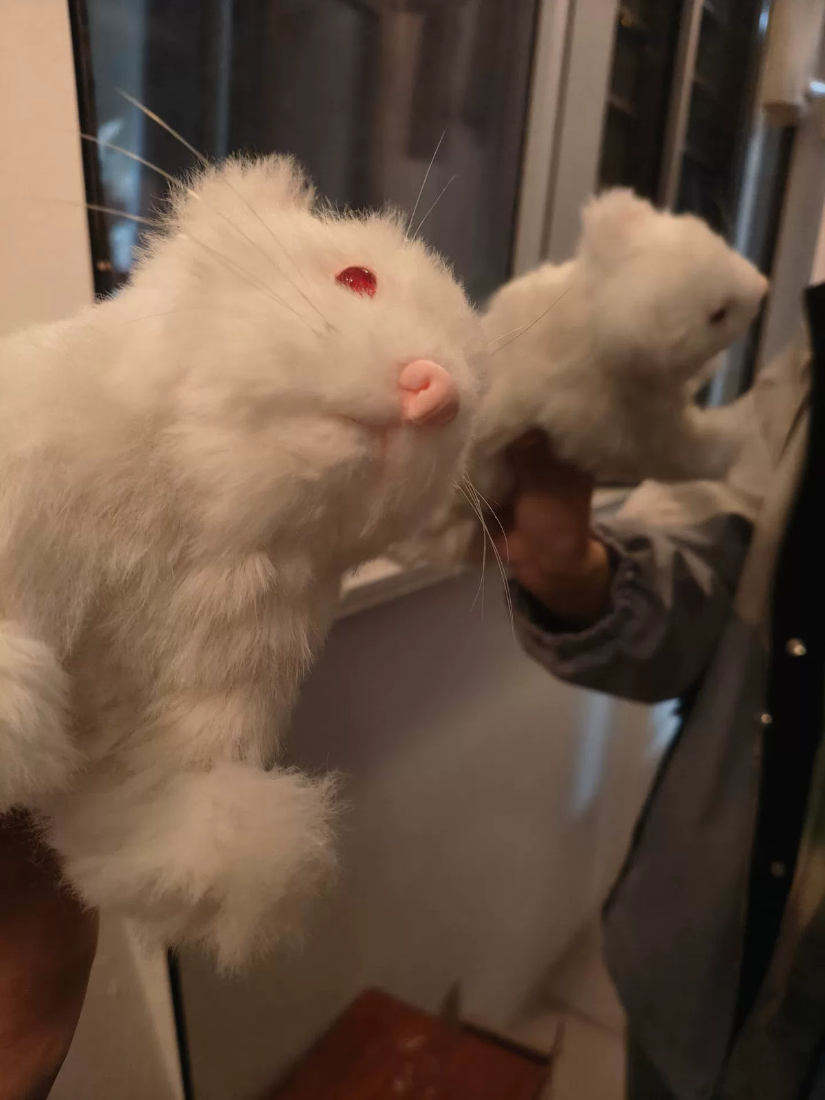 Handgemaakte replica van een langharige witte ferret
