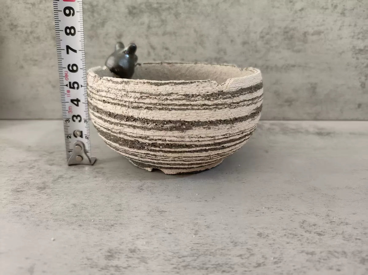 1061234702249 - Image 7