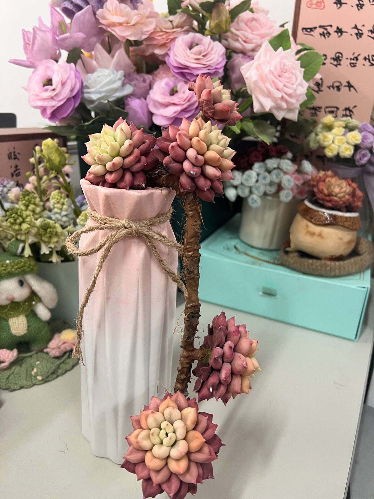 Resin Clay Succulent Handmade Desk Decoration
