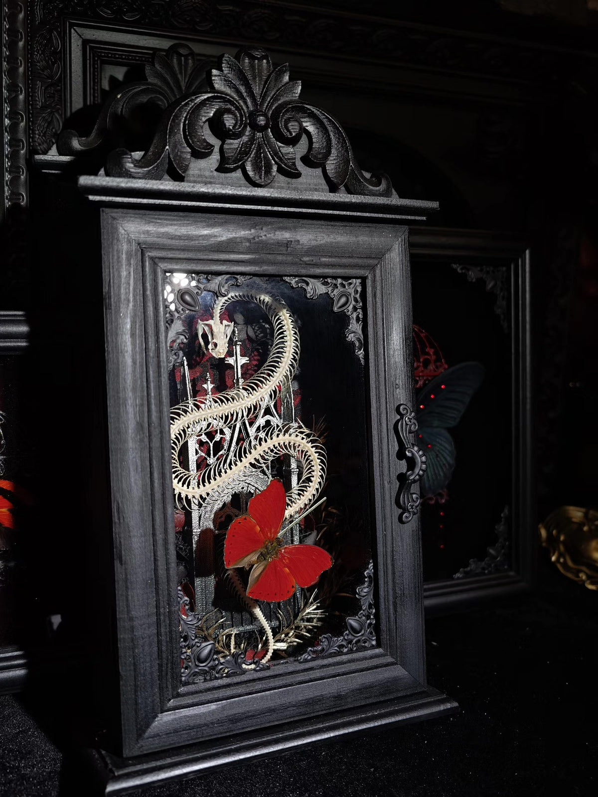1005636159473 - Image 4