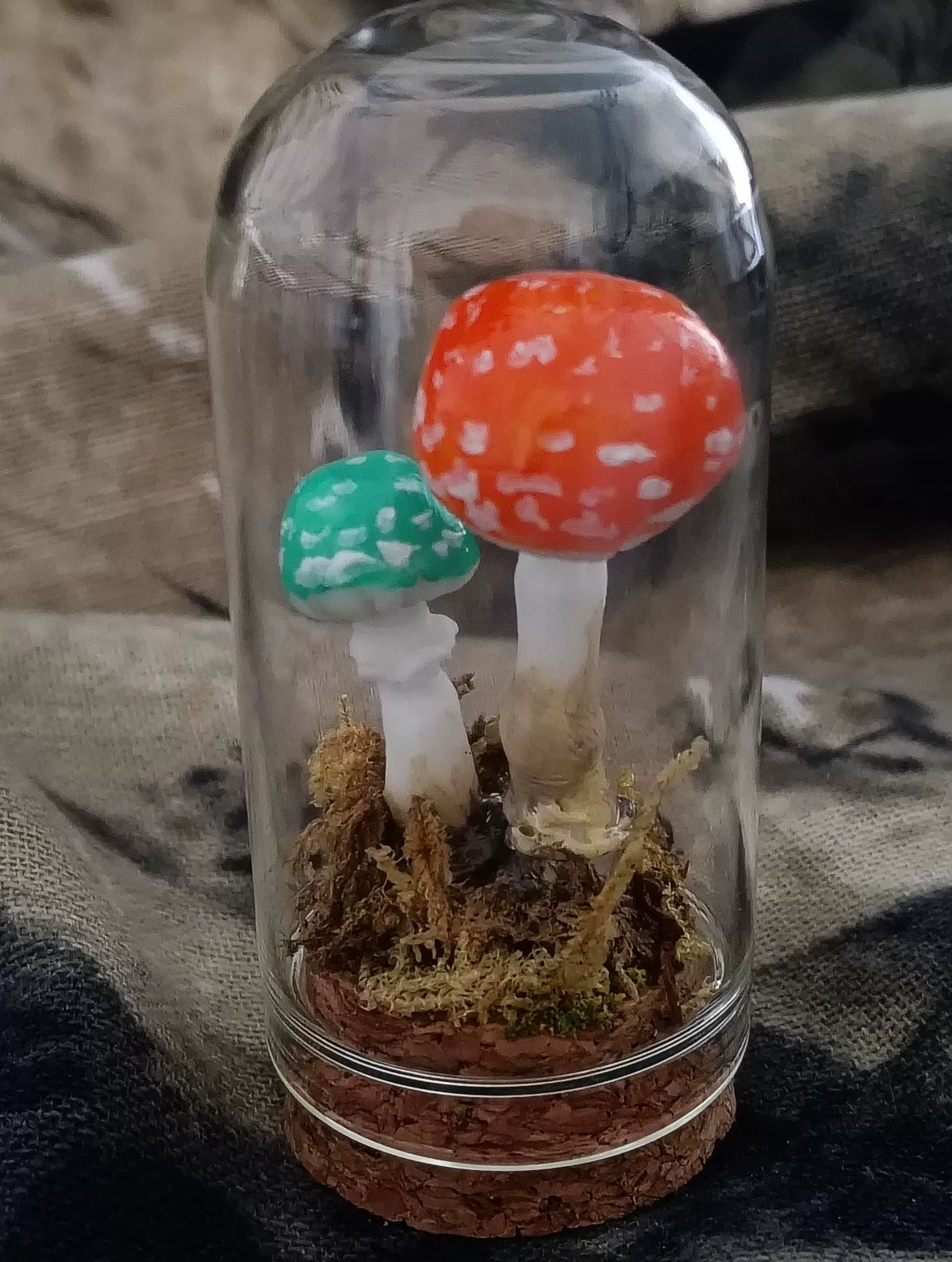 Handgefertigtes Pilz-Terrarium mit Glasglocke