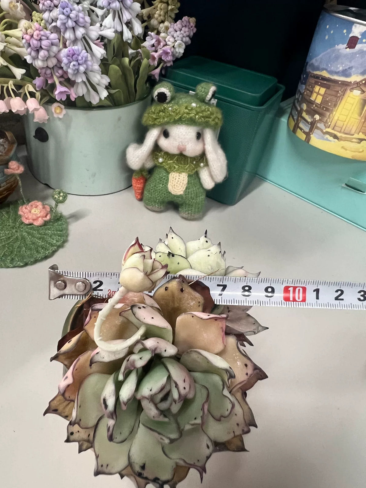Succulente Echeveria Snow Queen en argile de résine artisanale