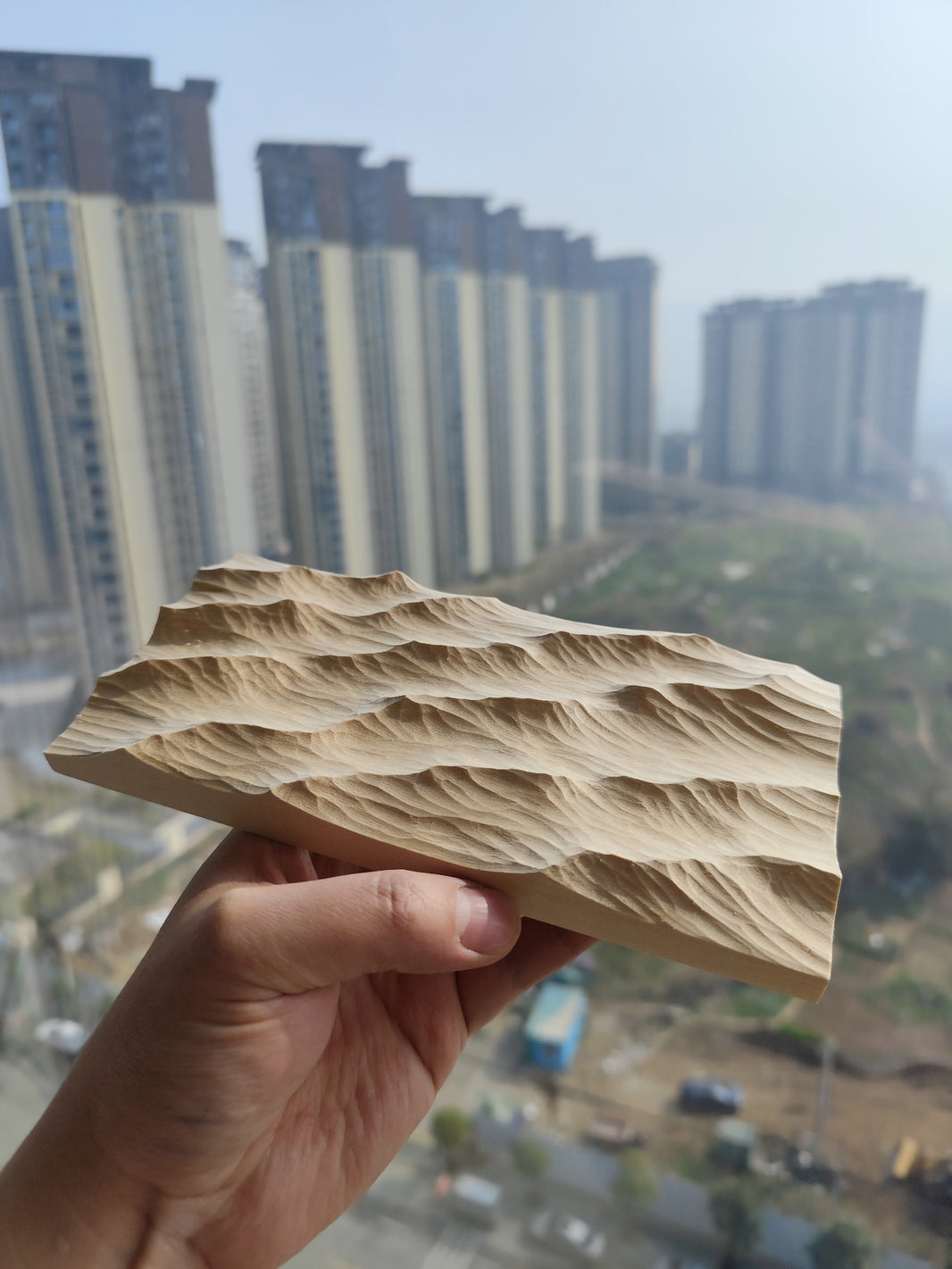 1011483698788 - Image 1