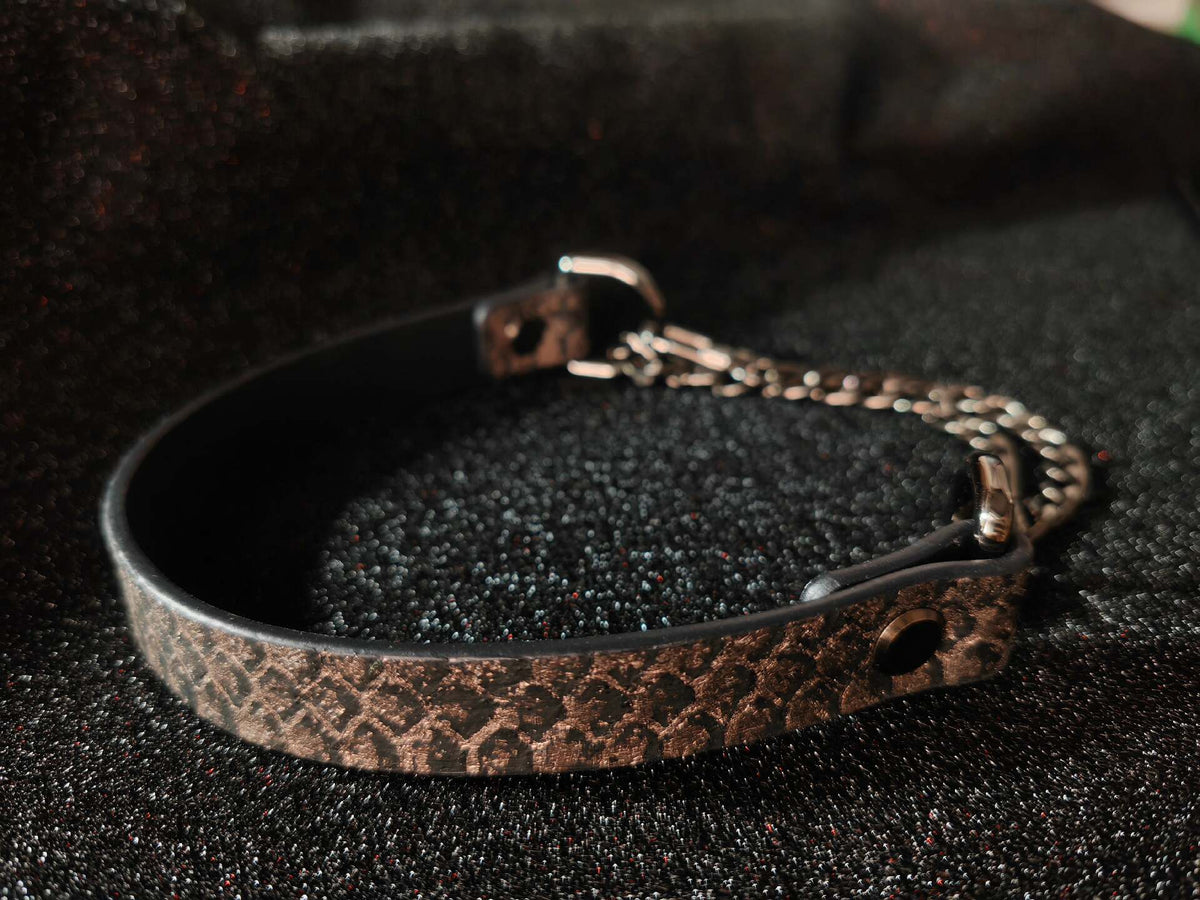 Black Snake Skin Pet Collar with Chain