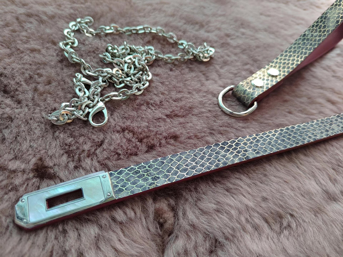 Gray Silver Sheepskin Pet Collar Set
